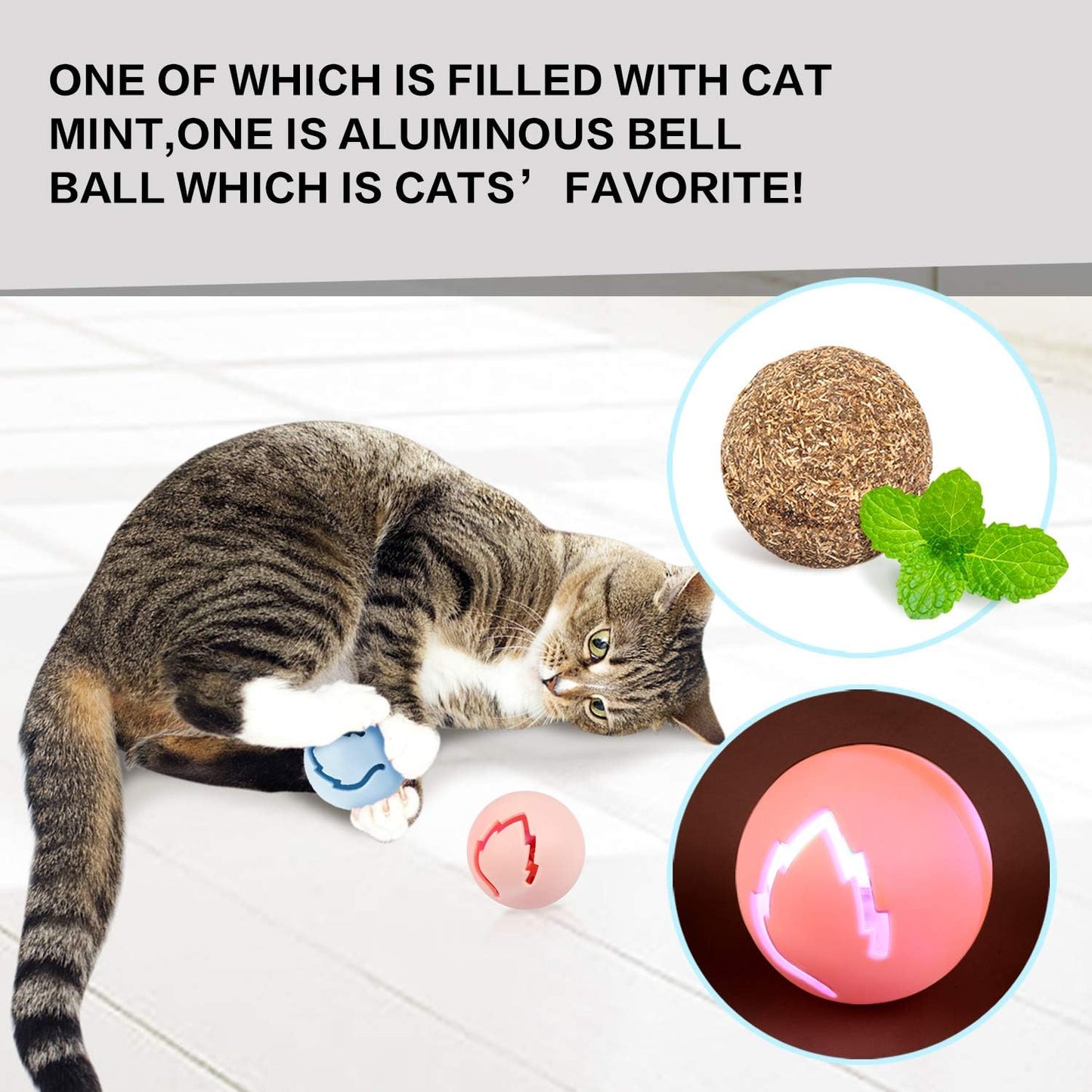 Jouet pour Chat 2 en 1