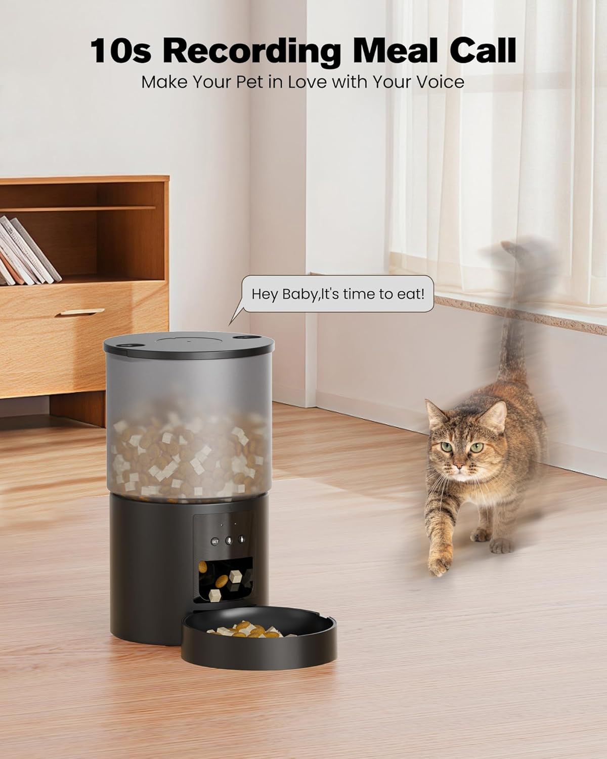 Distributeur Croquettes Chat 4L