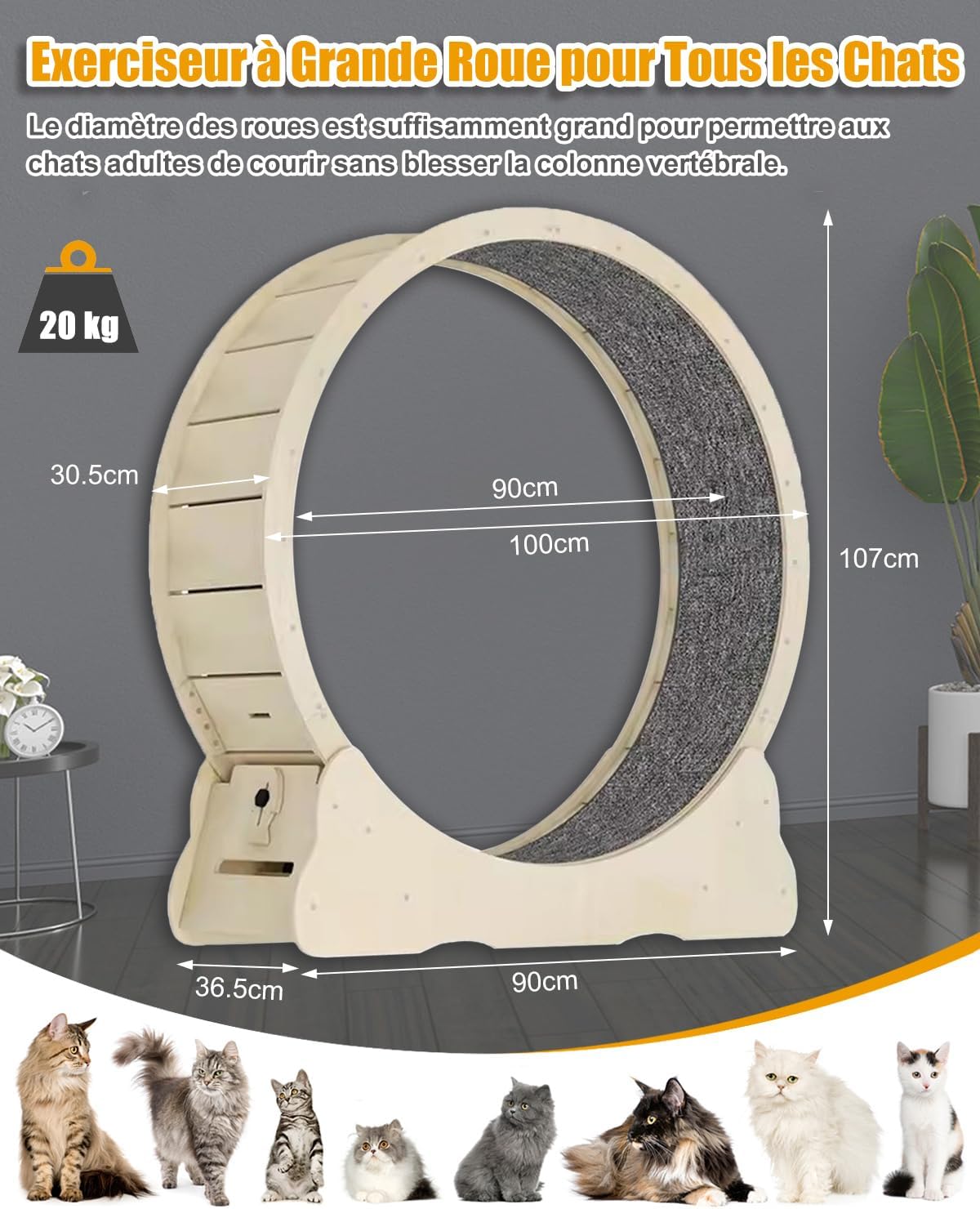 Roue pour Chat 100cm