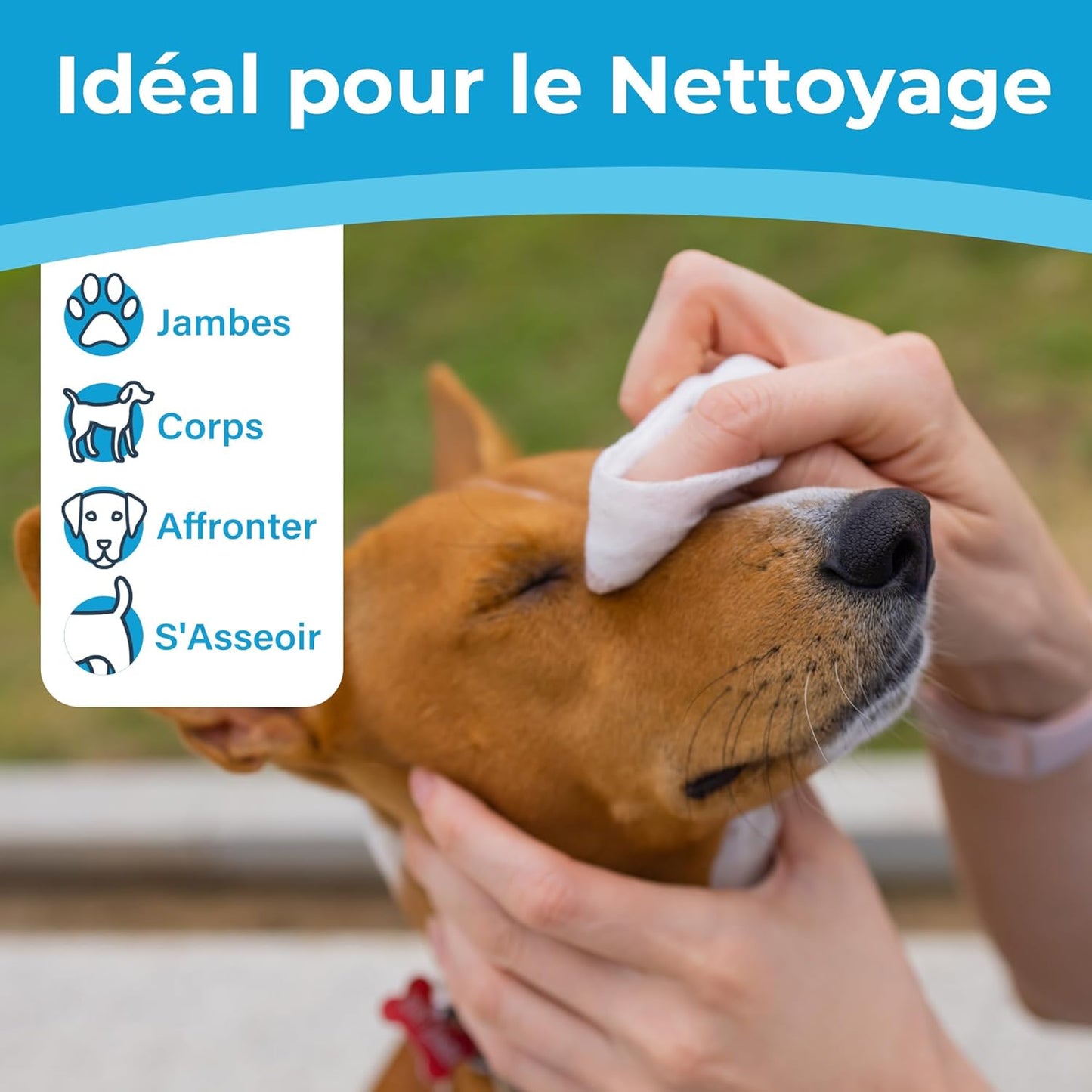 Lingettes pour Chat 300 Pièces