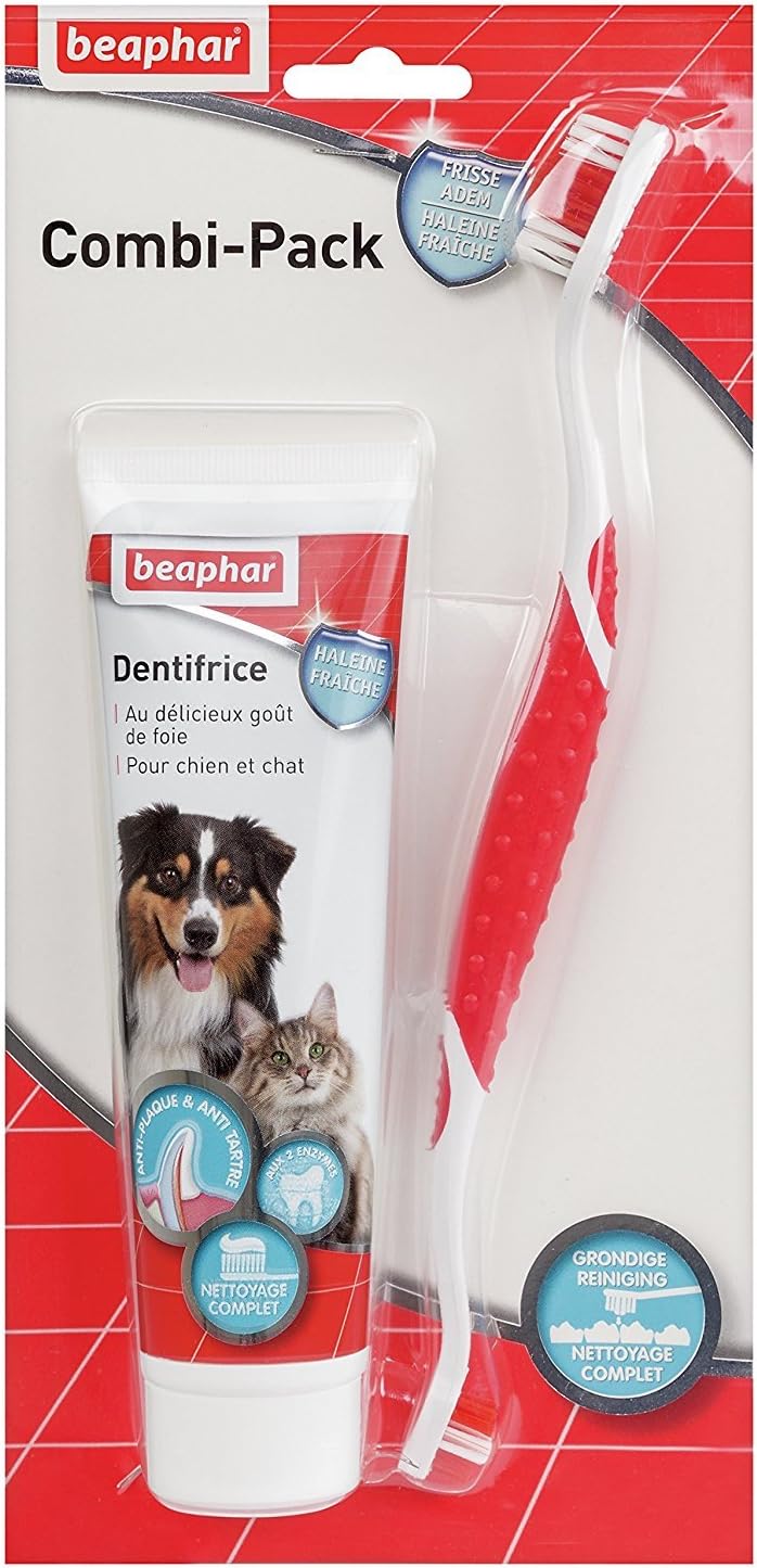Brosse à pour dents + Dentifrice haleine fraîche