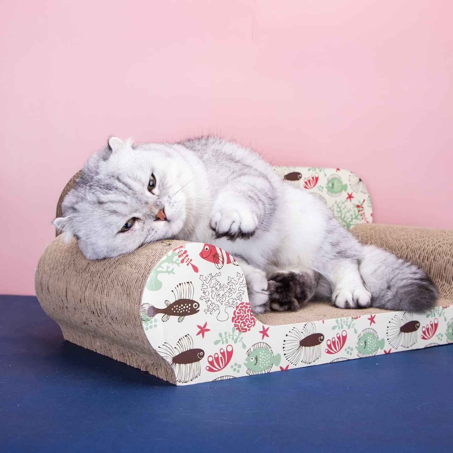 Griffoir Chat Zone de Repos