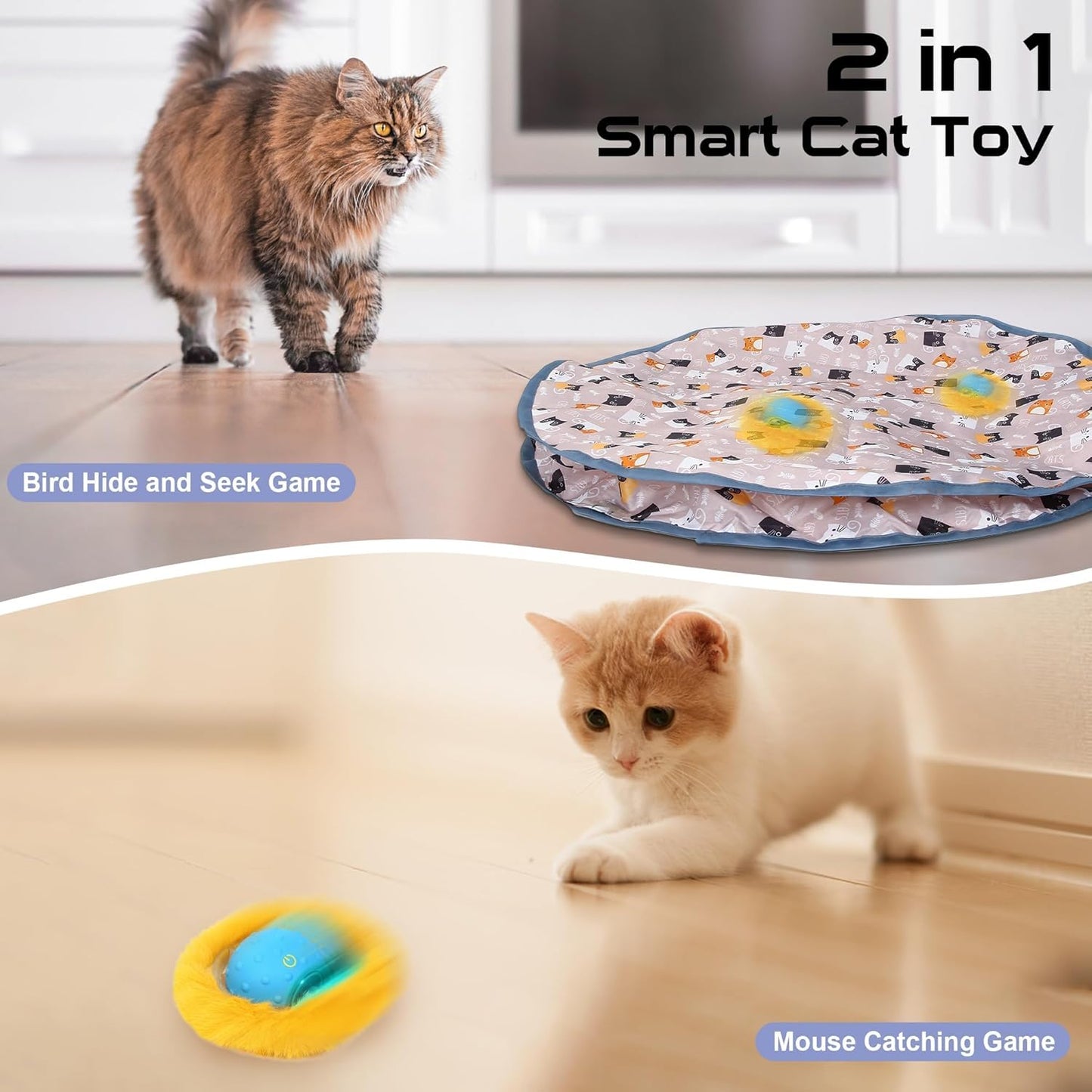 Jouet pour Chat Cache-Cache