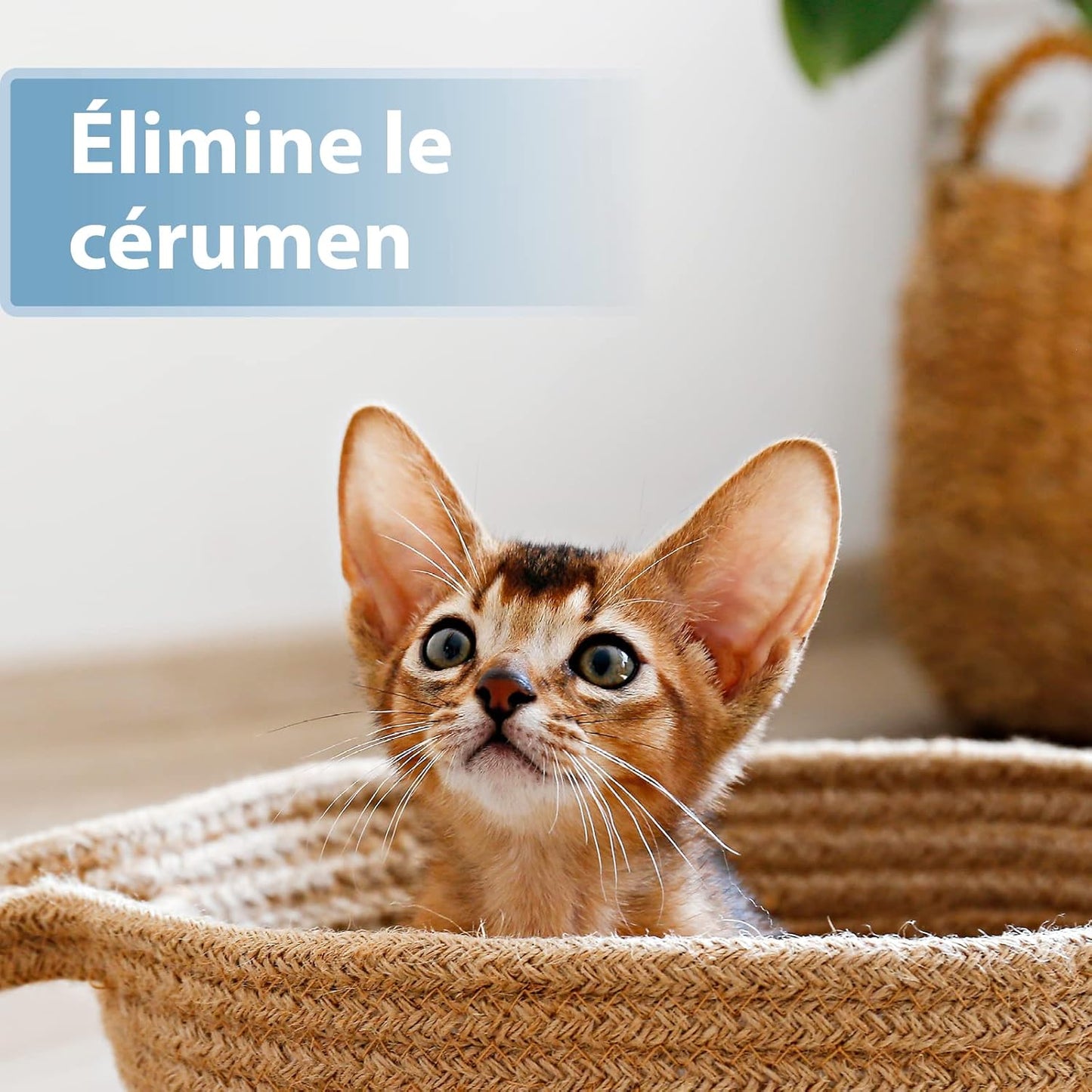 Lingette pour Chat Doigtiers De Soin Auriculaire 50 pcs