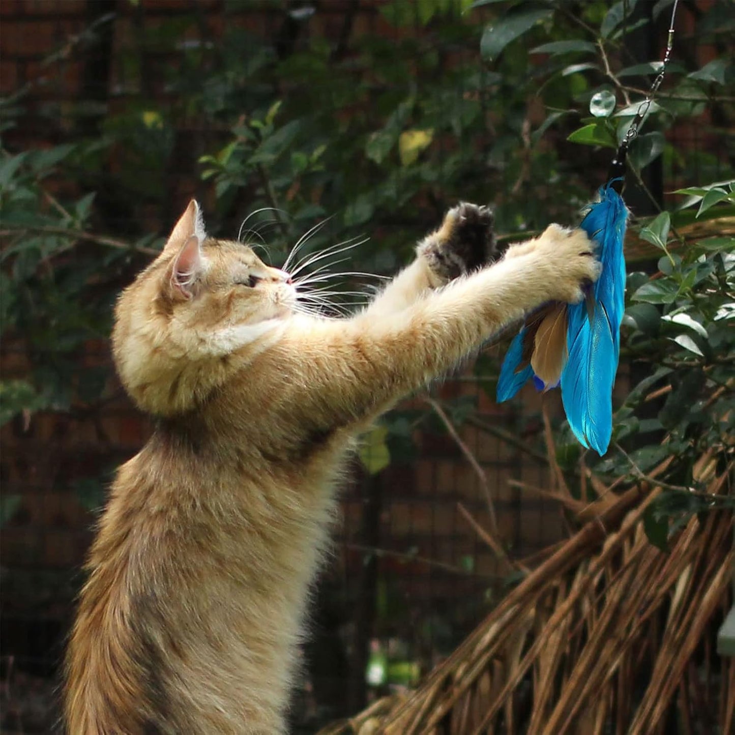 Jouet pour Chat 9 PCS