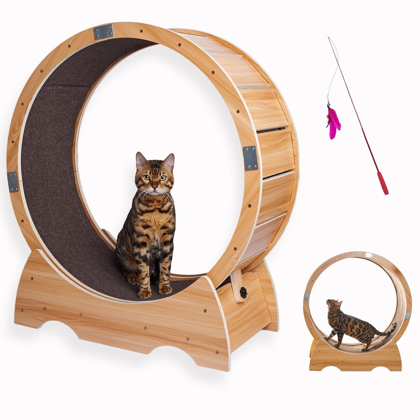 Roue pour Chat, Roue d'exercice
