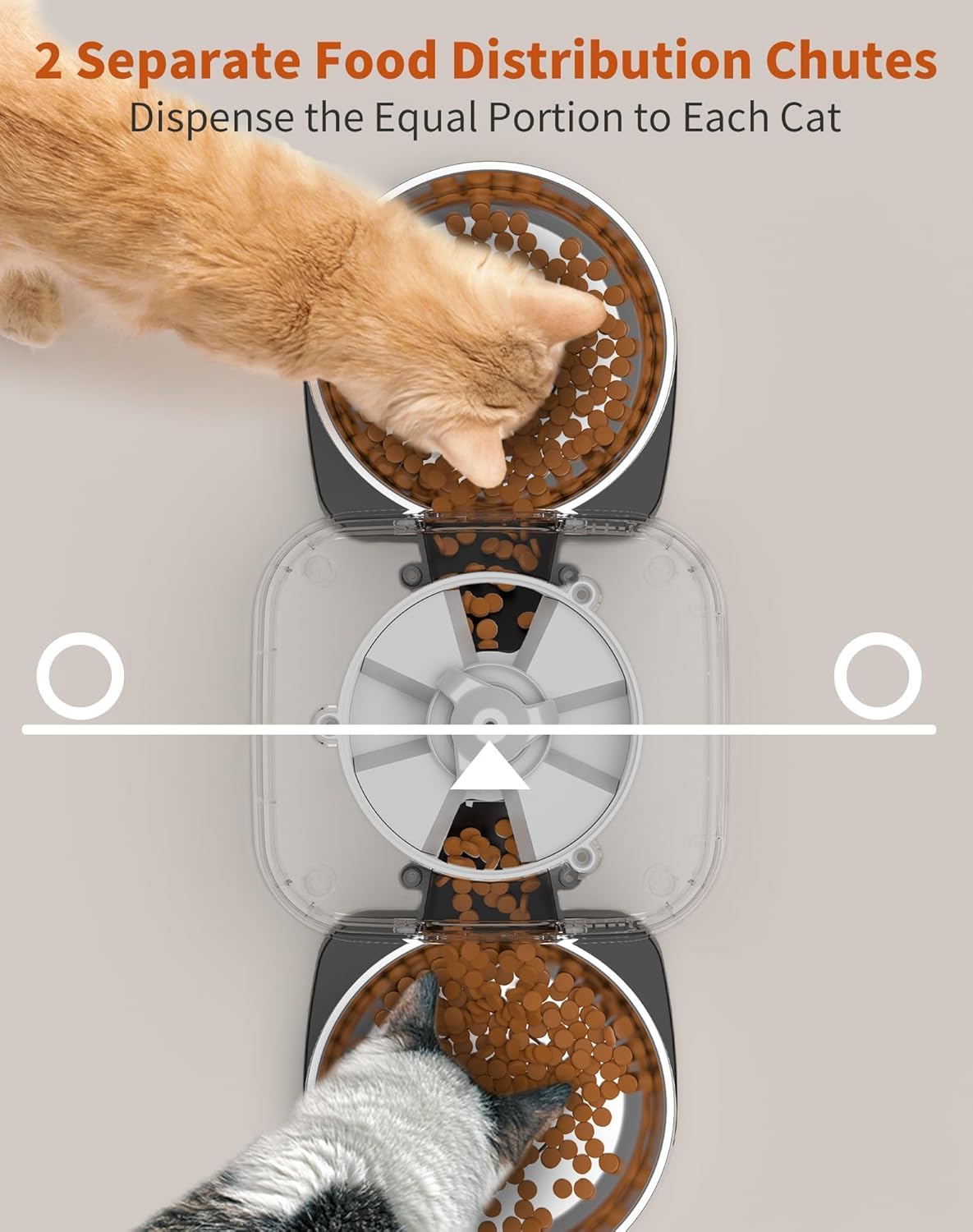Distributeur Croquettes Chat 3.5L