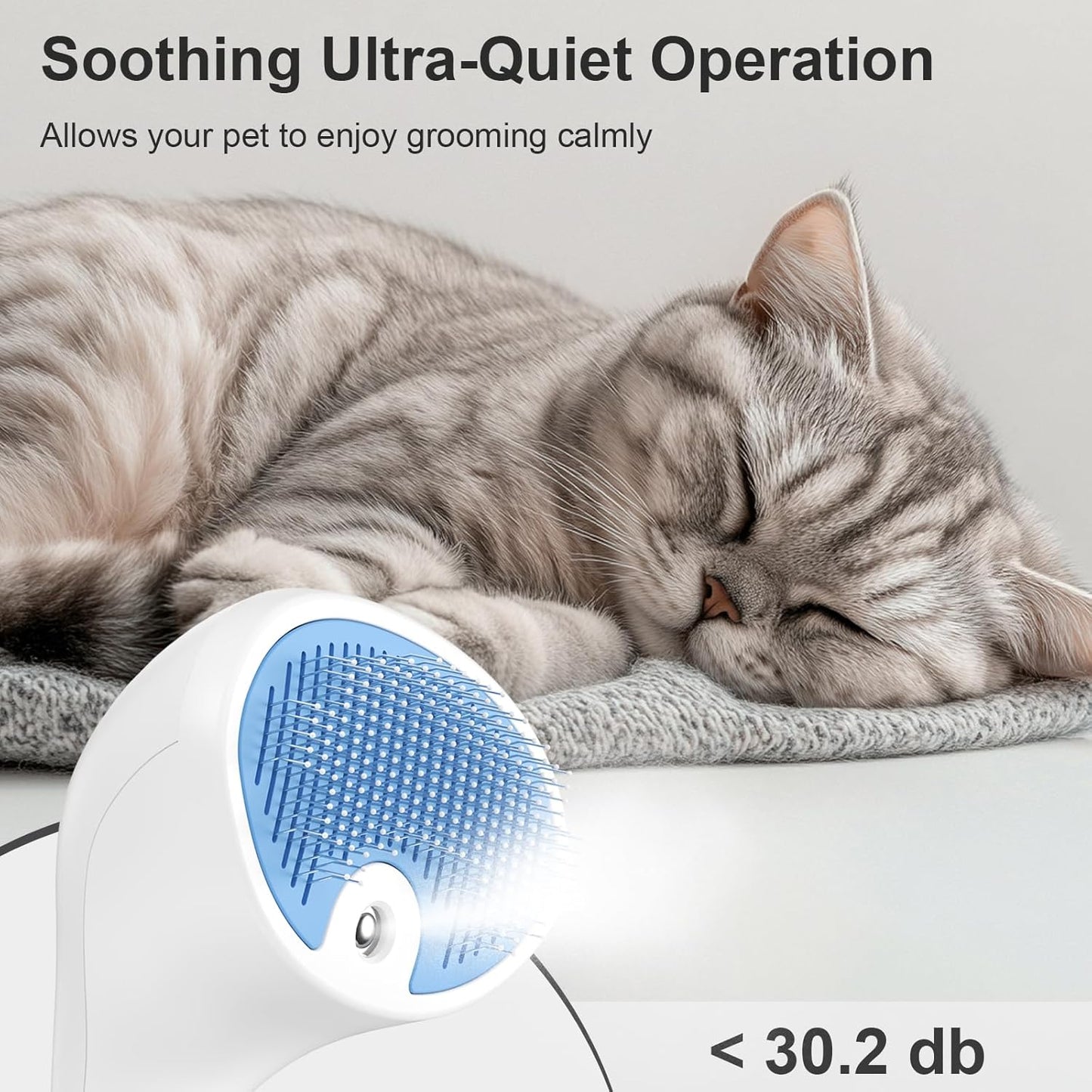 Brosse Chat Vapeur