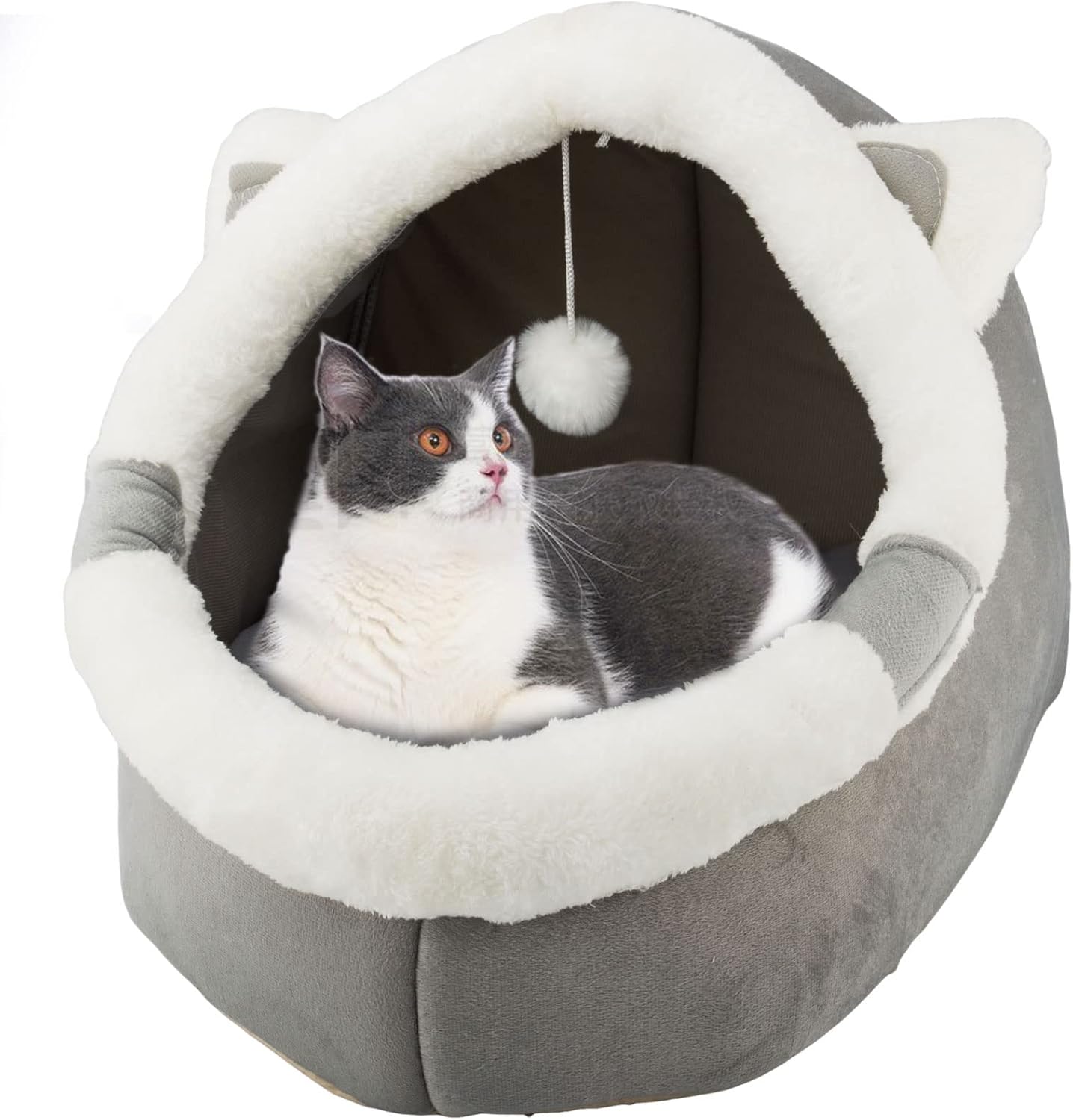Panier Chat Coussin