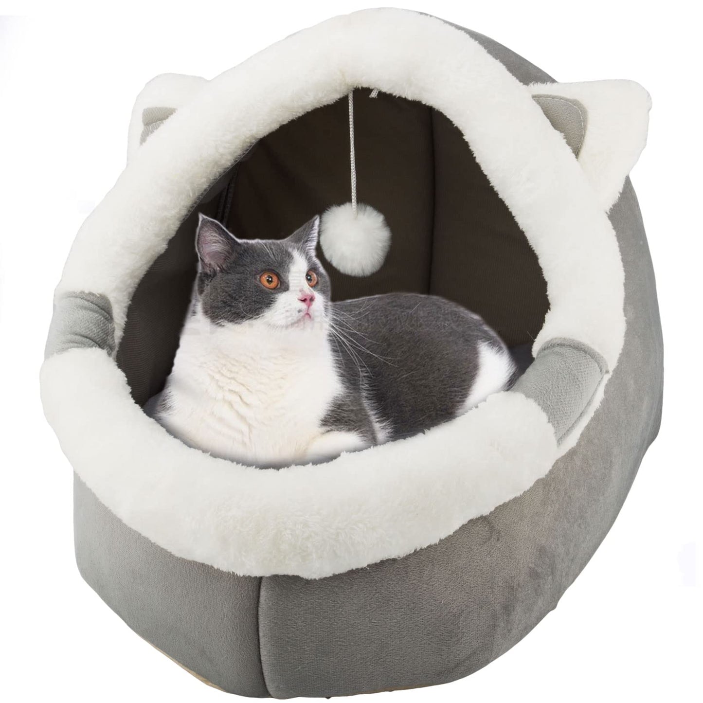 Panier Chat Coussin