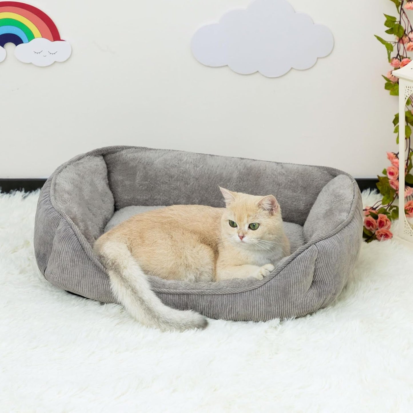 Panier Chat Coussin55 * 45 * 15cm
