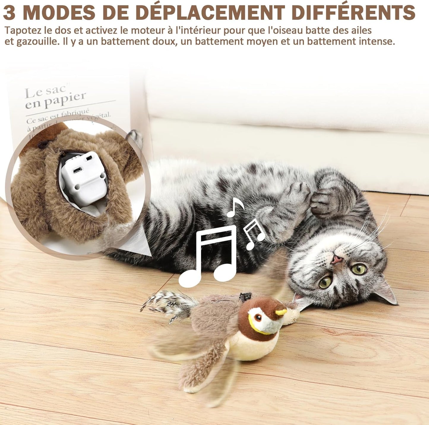 Jouet pour Chat interactif Oiseau