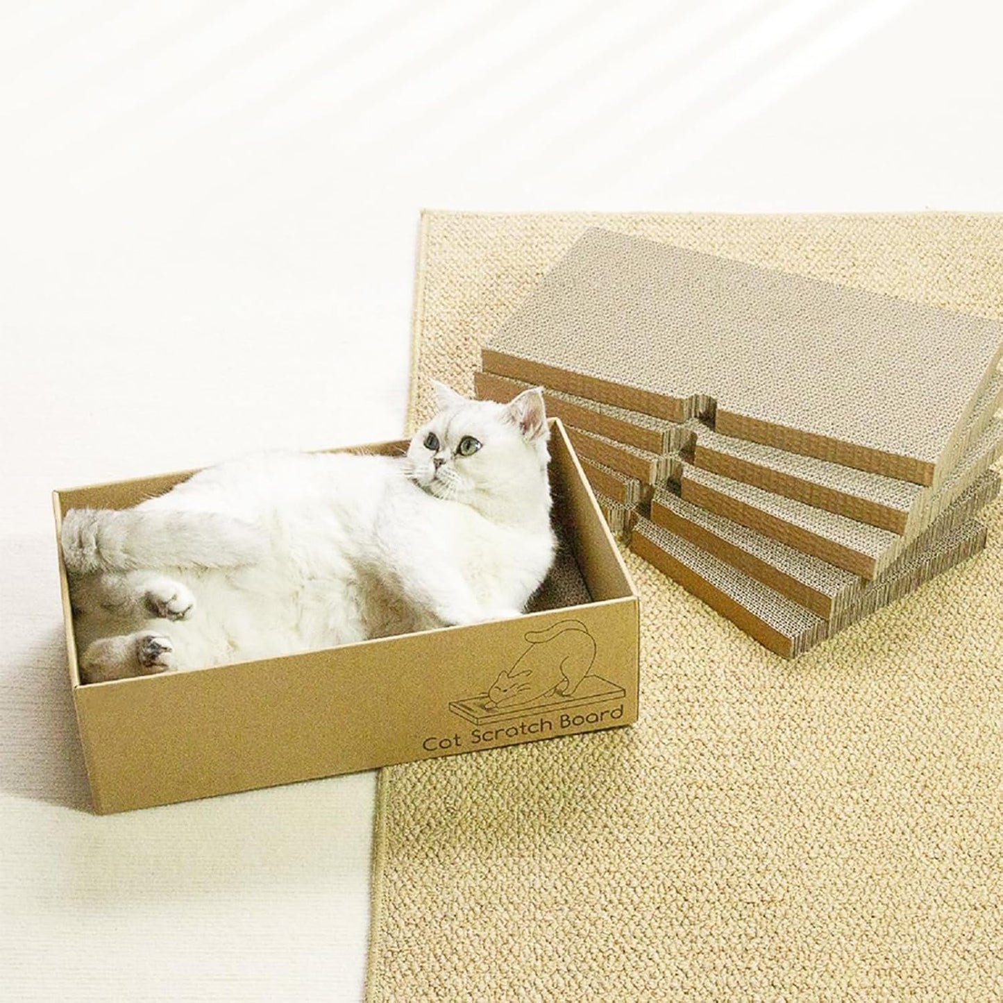 5 x Griffoir Chat 43 X 25.4 X 12.7cm