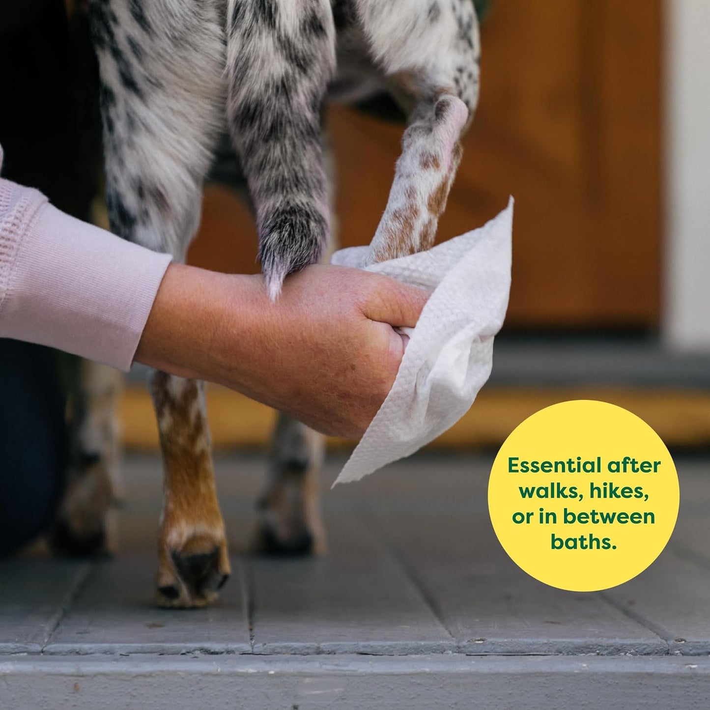 Lingettes pour Chat hypoallergéniques