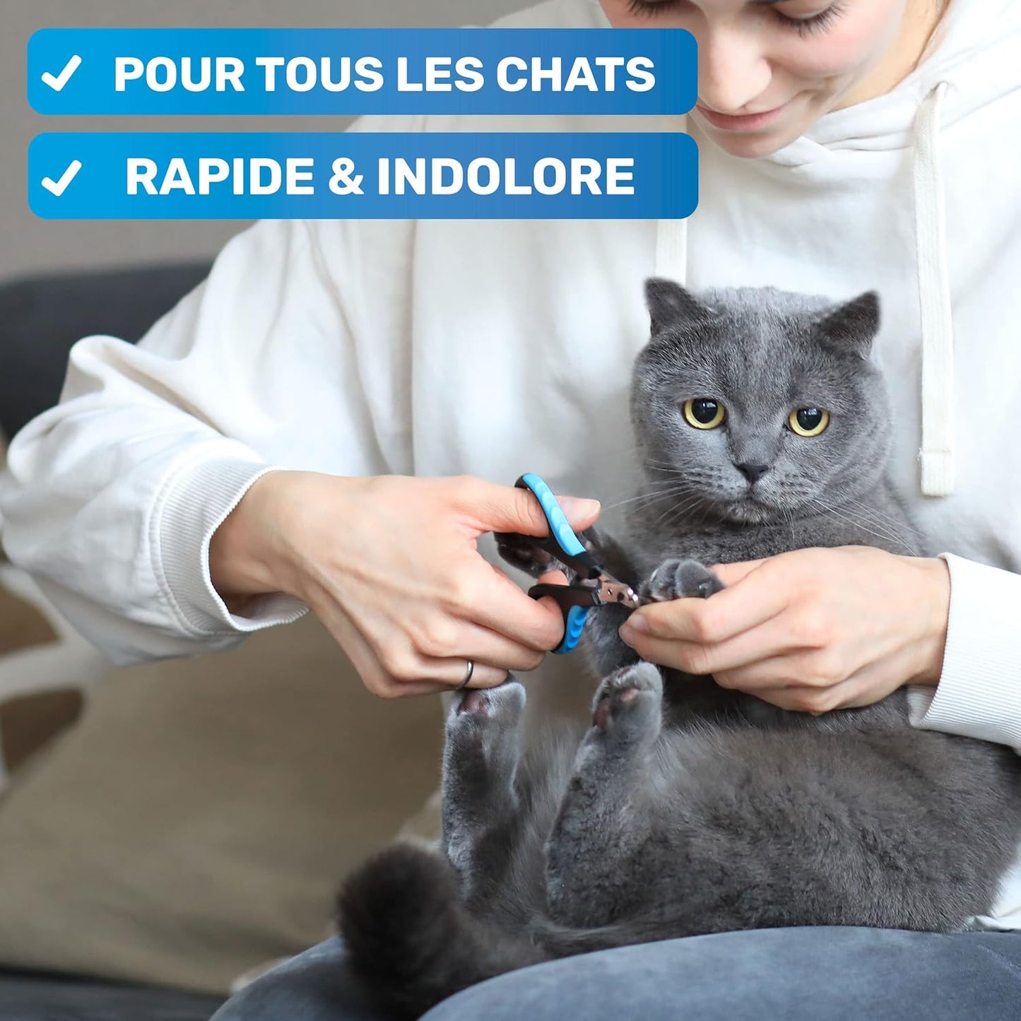 Coupe Griffes Chat + Lime