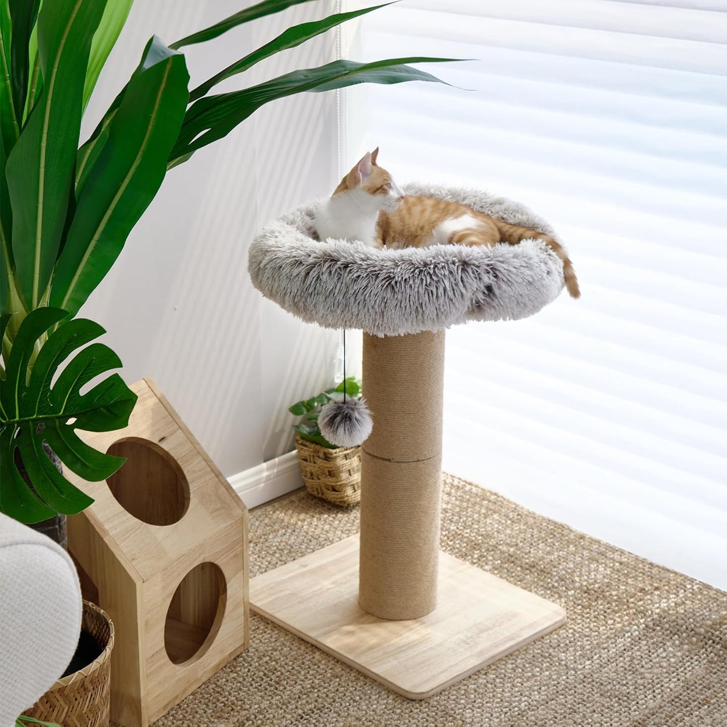 Arbre à chat avec lit
