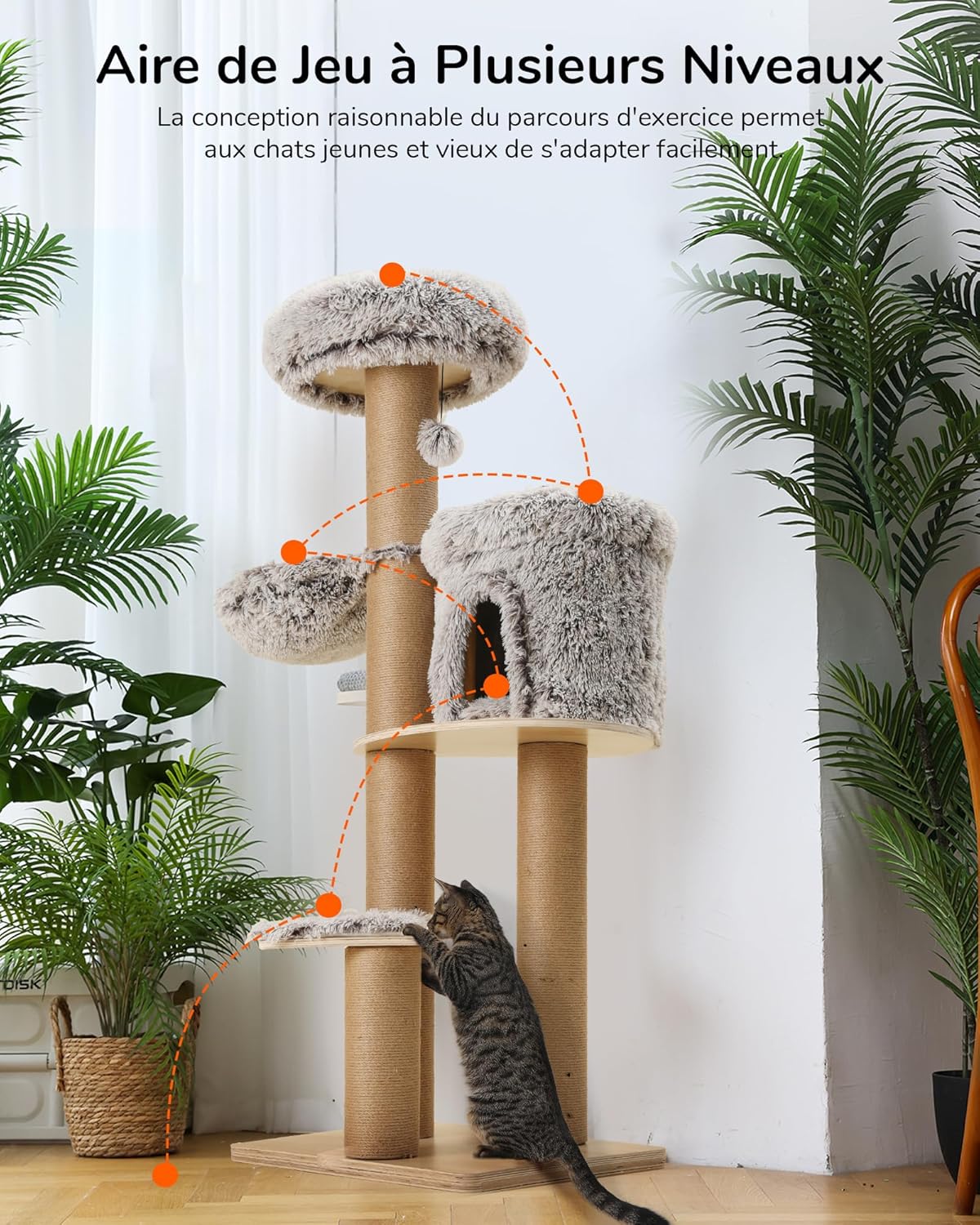 Arbre à Chat 155 cm