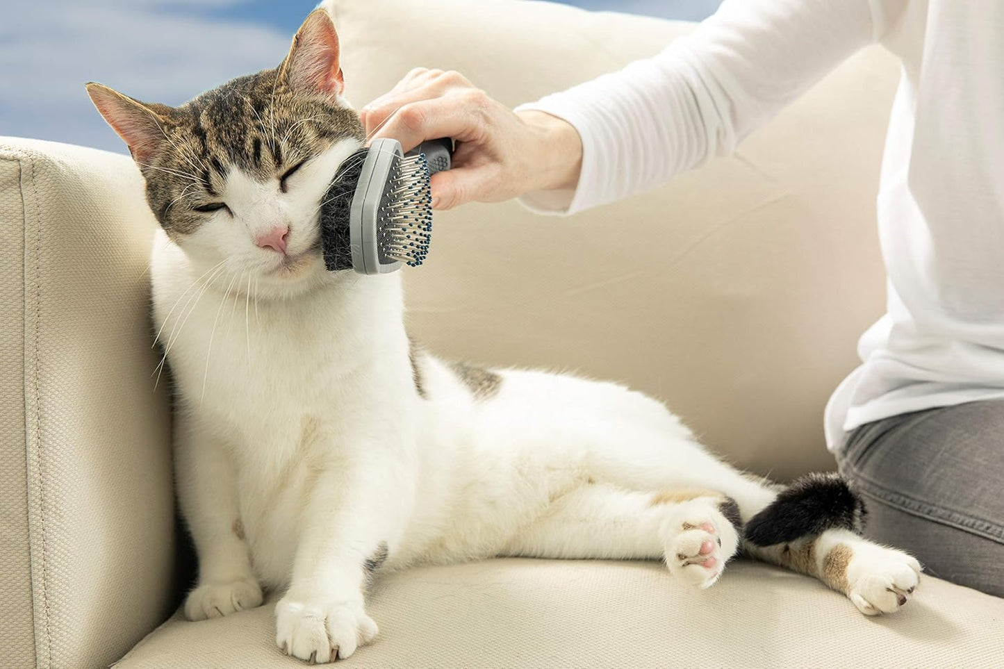Brosse pour Chat