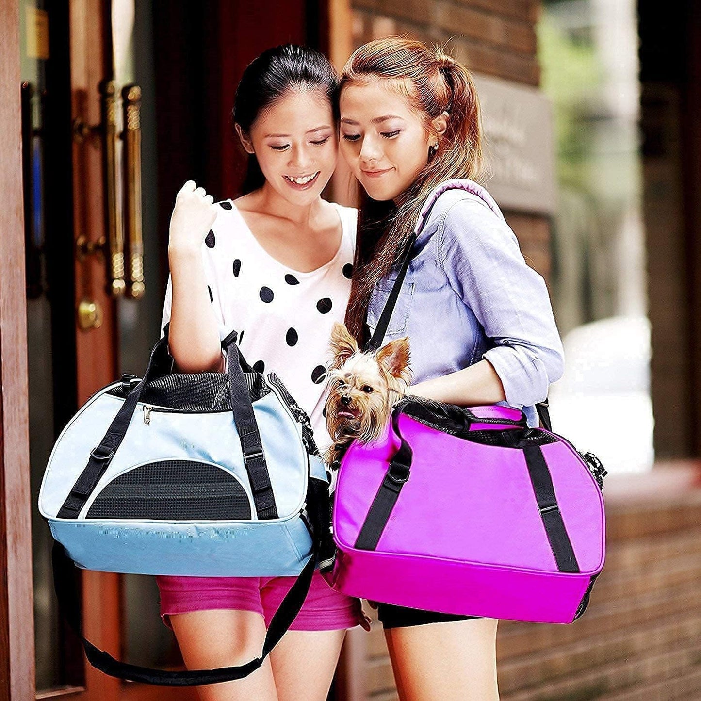 Sac Transport Chat 42 x 20 x 30cm 3.6kg