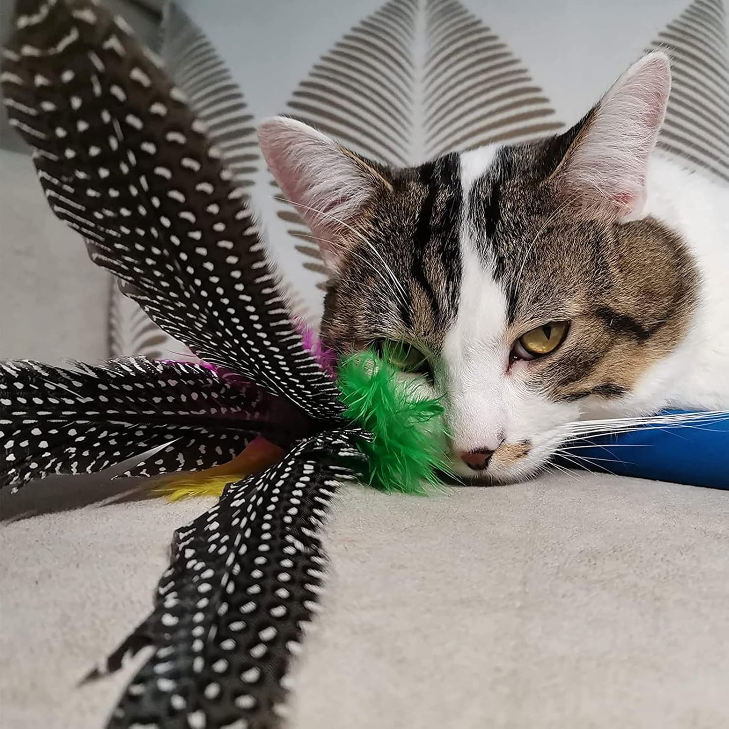 Jouet pour Chat 9 PCS