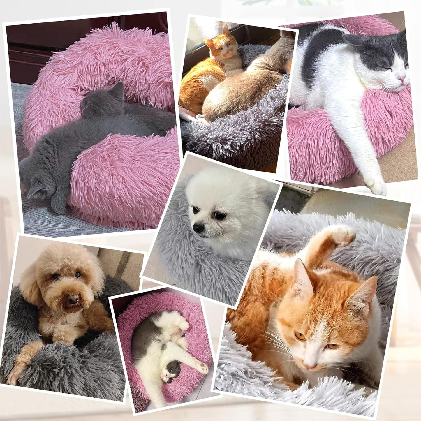 Panier Chat Coussin 50cm
