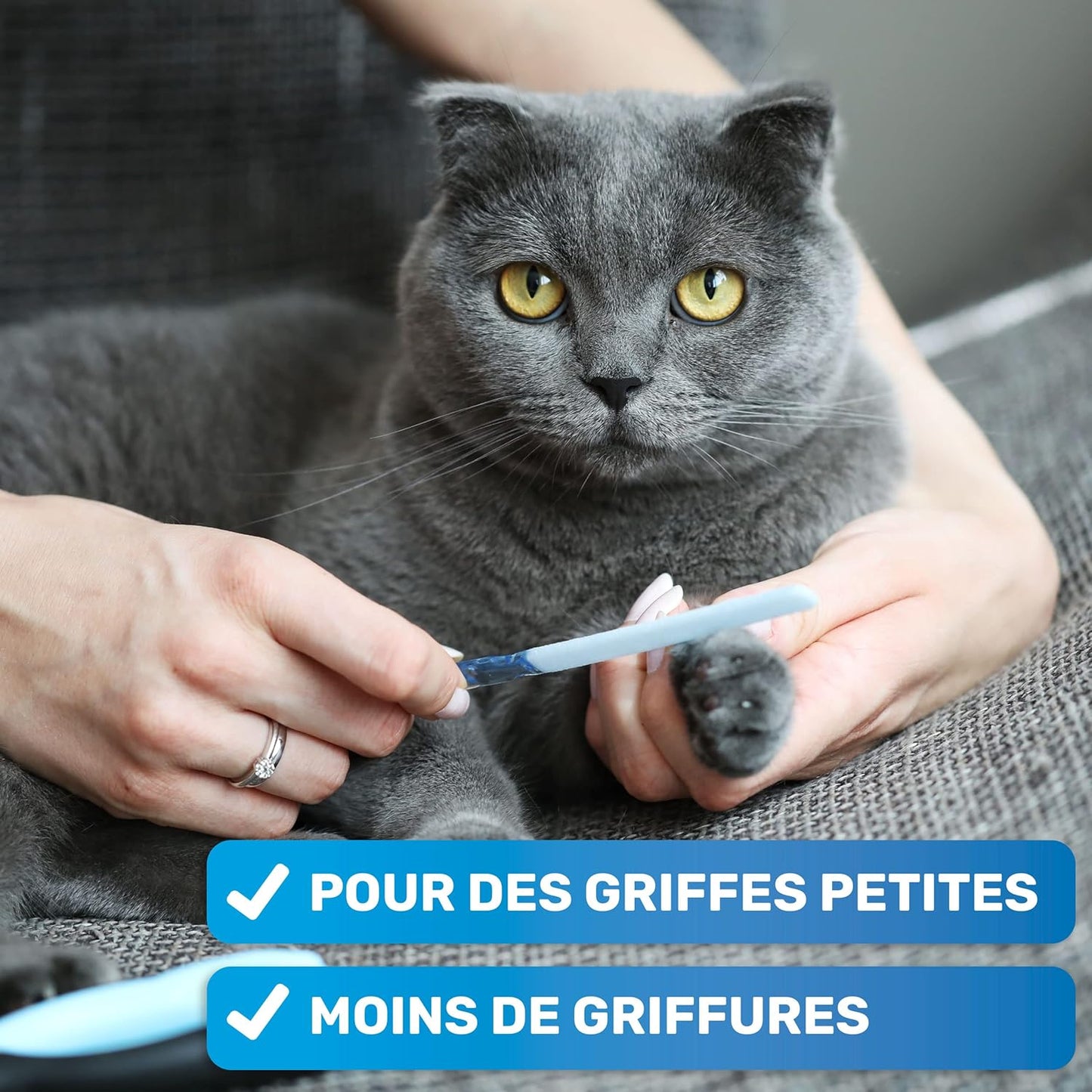 Coupe Griffes Chat + Lime