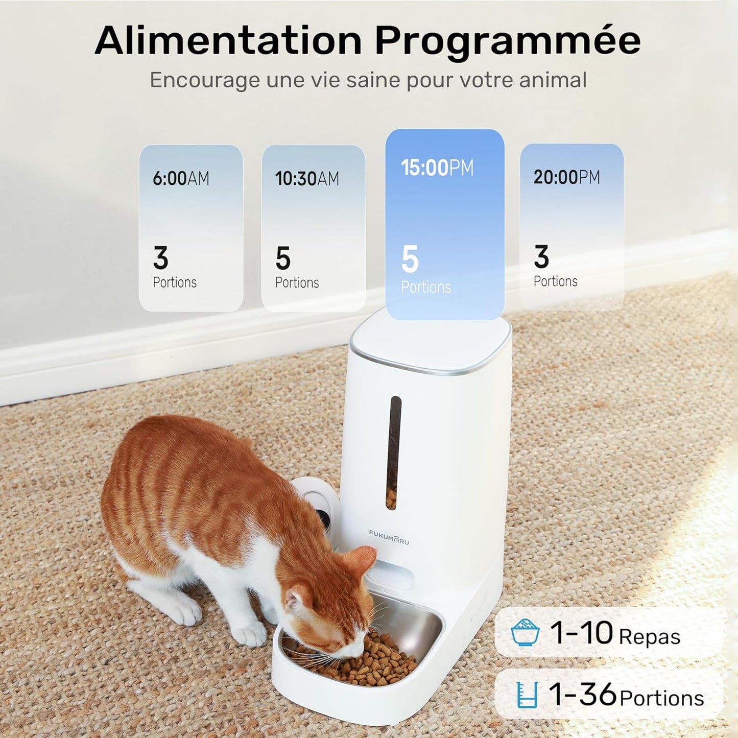 Distributeur Croquettes Chat 3L