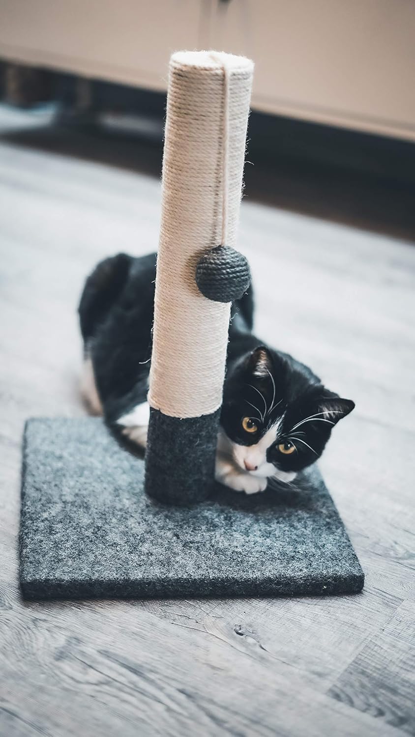 Griffoir pour Chat 42 cm