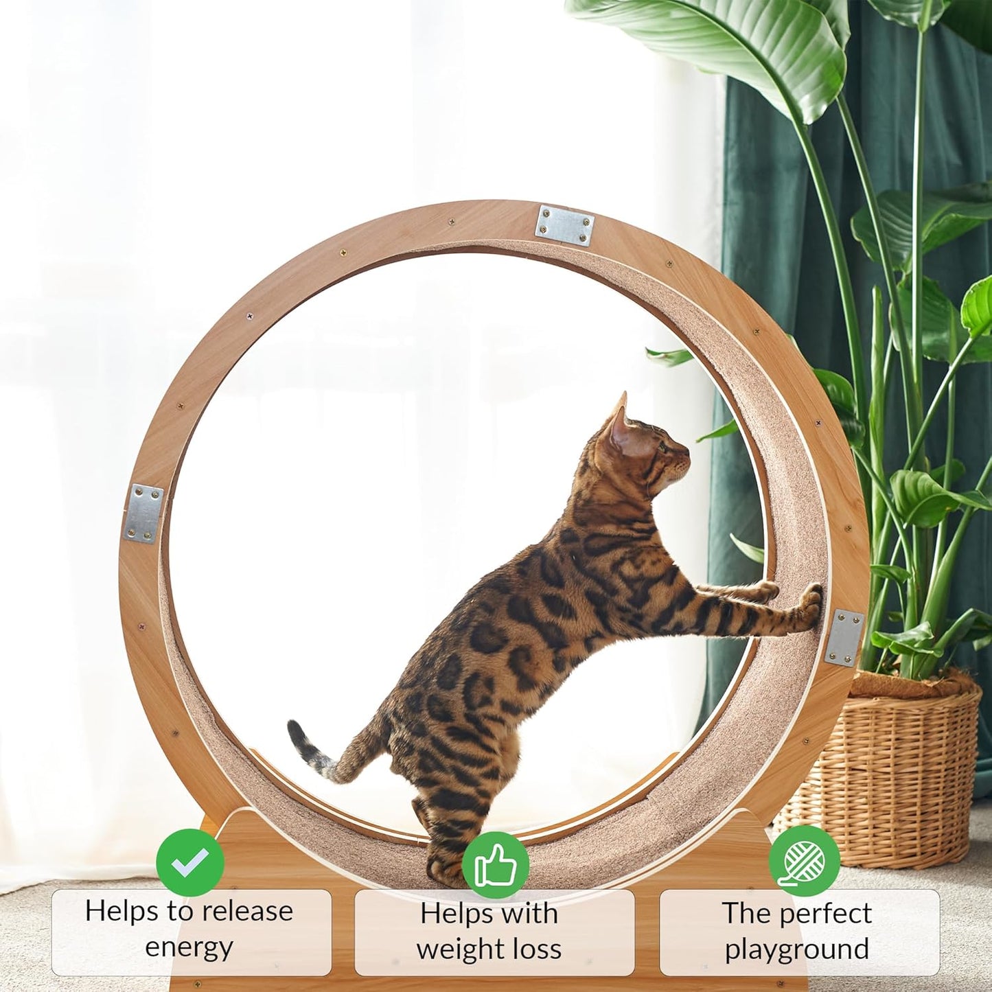 Roue pour Chat, Roue d'exercice