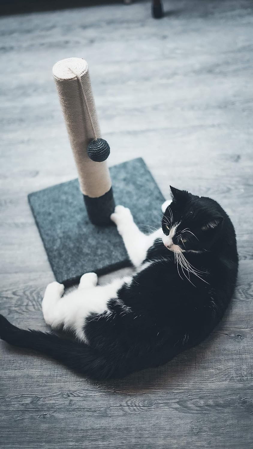 Griffoir pour Chat 42 cm
