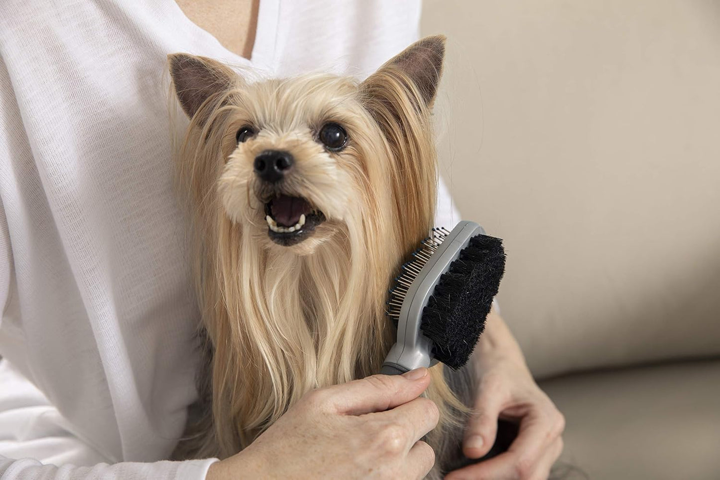 Brosse pour Chat