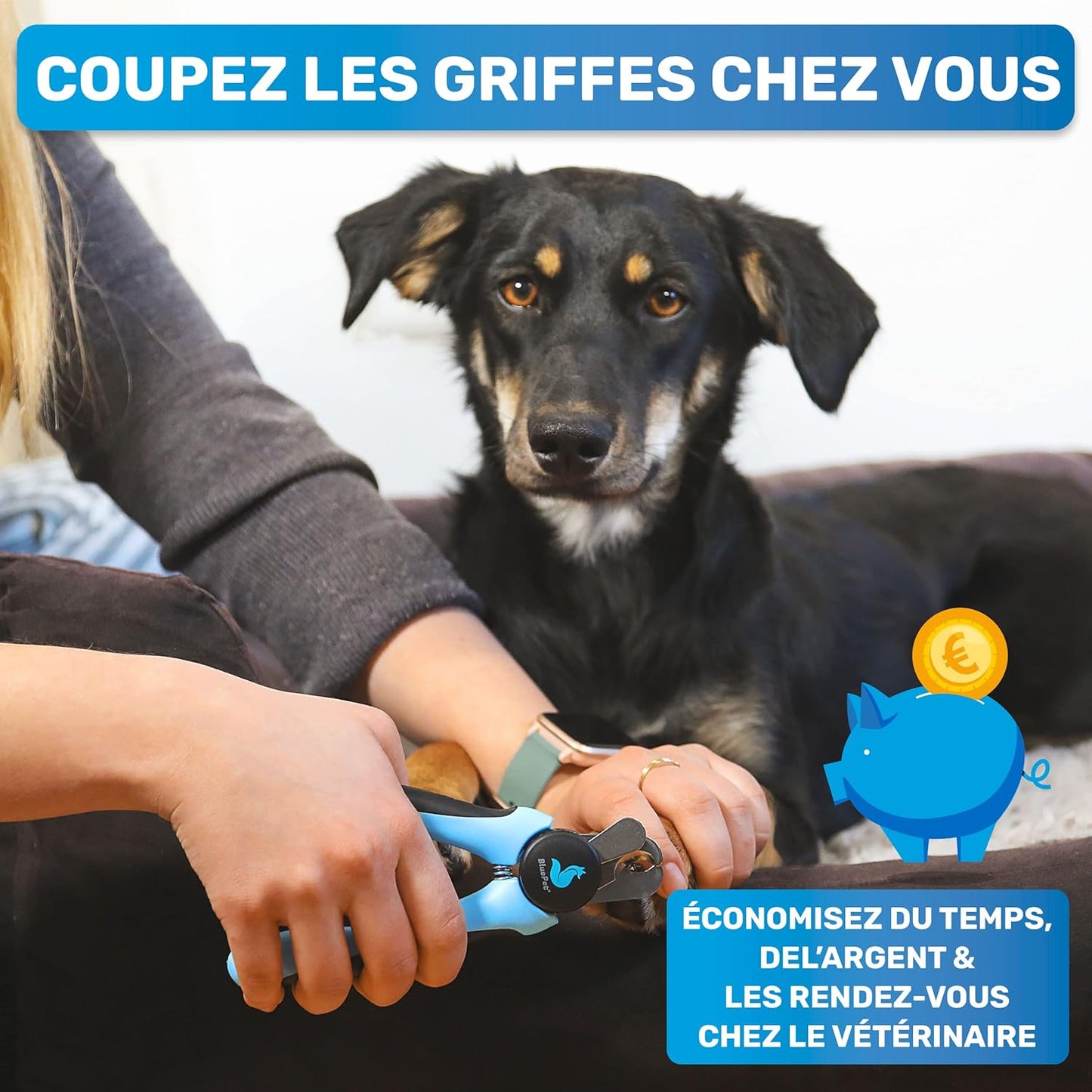 Coupe Griffes Chat + Lime