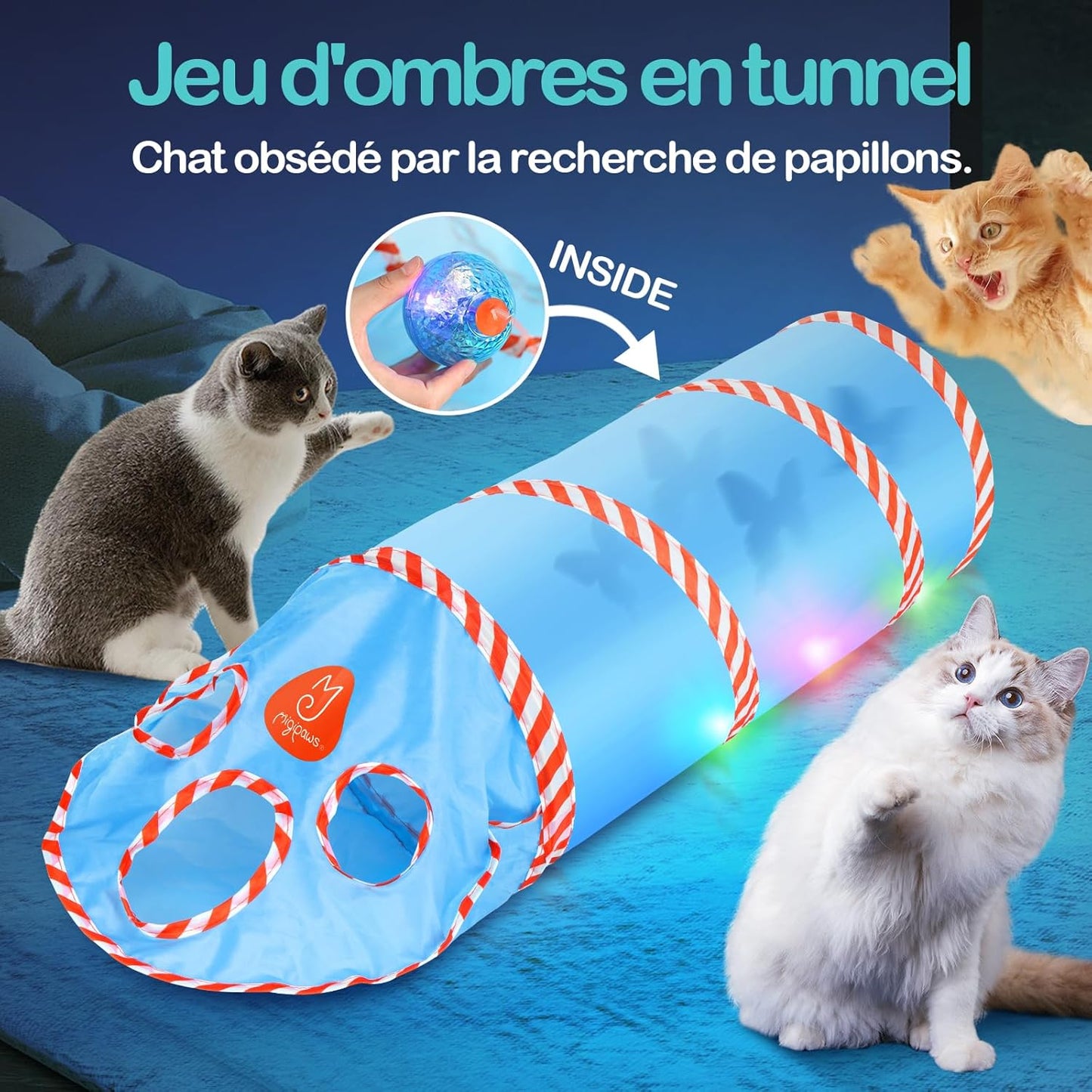 Jouet pour Chat Tunnel