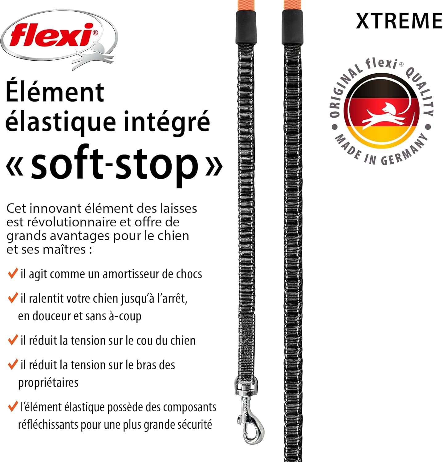 Laisse pour Chat 5m