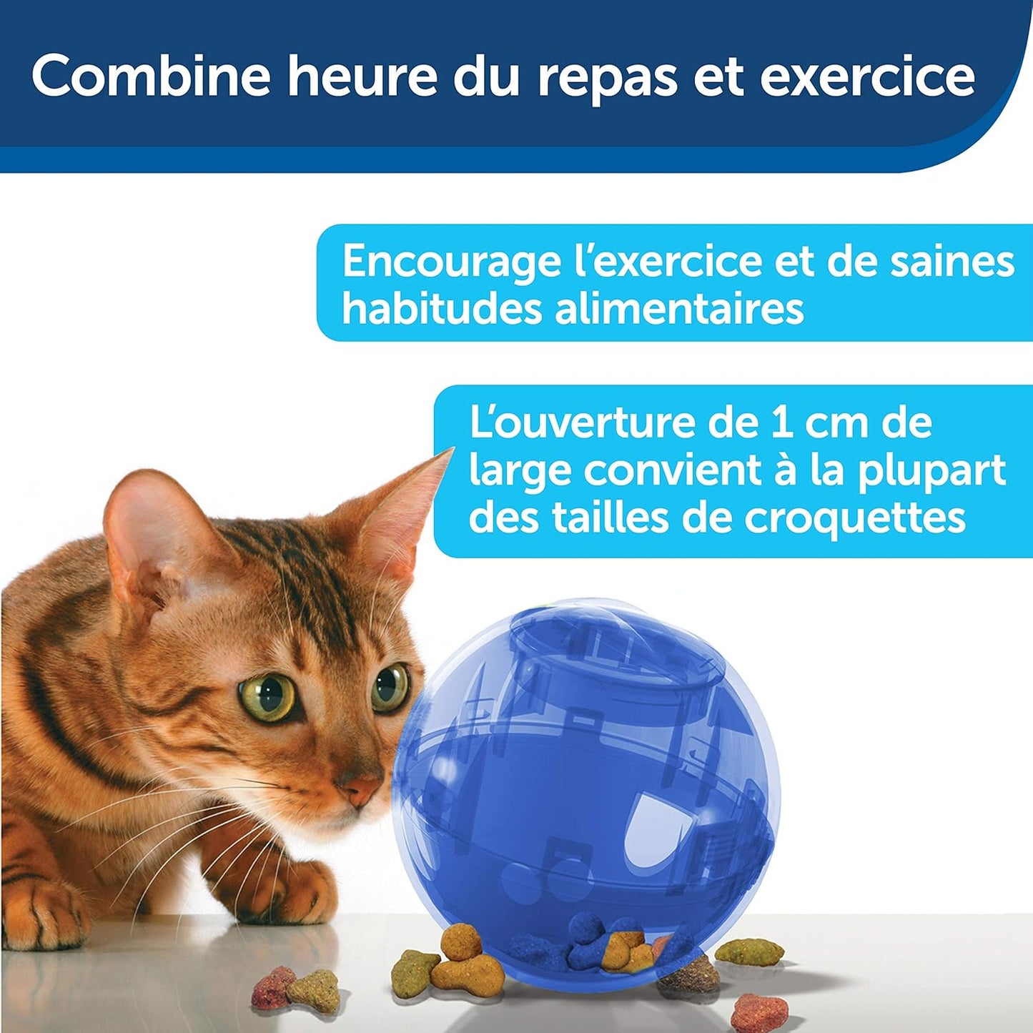 Jouet pour Chat Distributeur de Croquettes