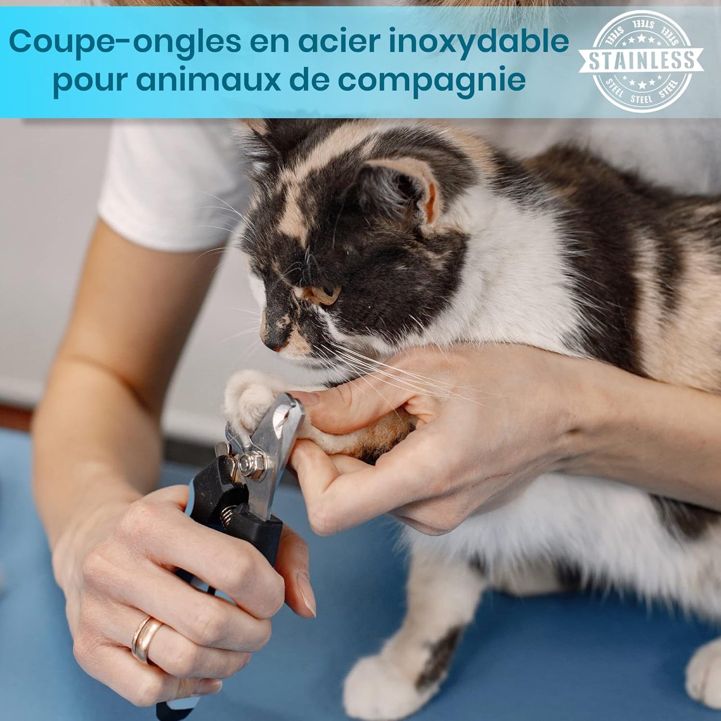 Coupe Griffes Chat + lime
