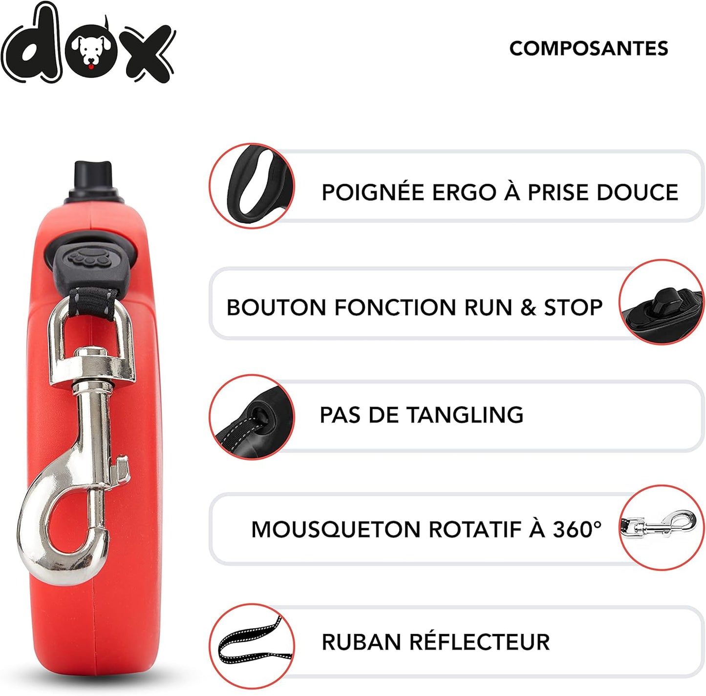 Laisse pour Chat 5m