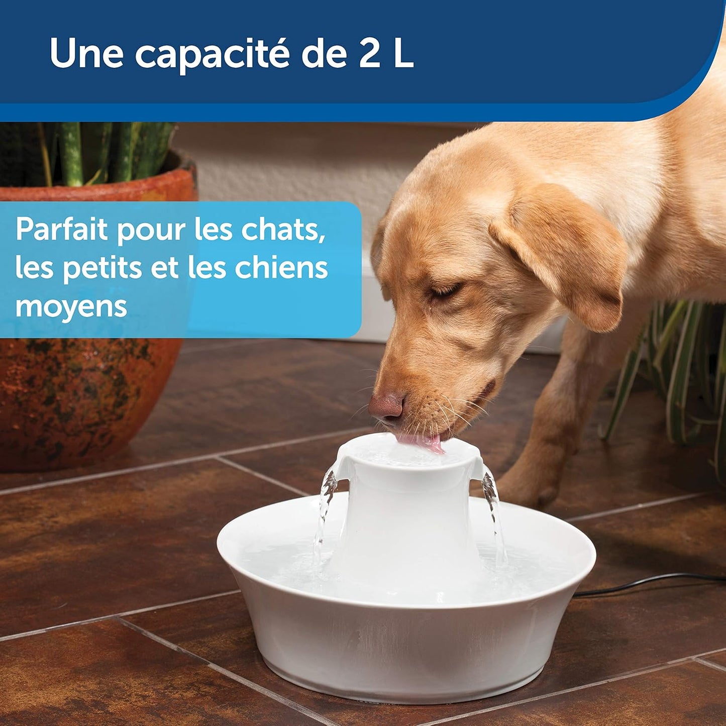 Fontaine à Eau Chat Céramique 2L