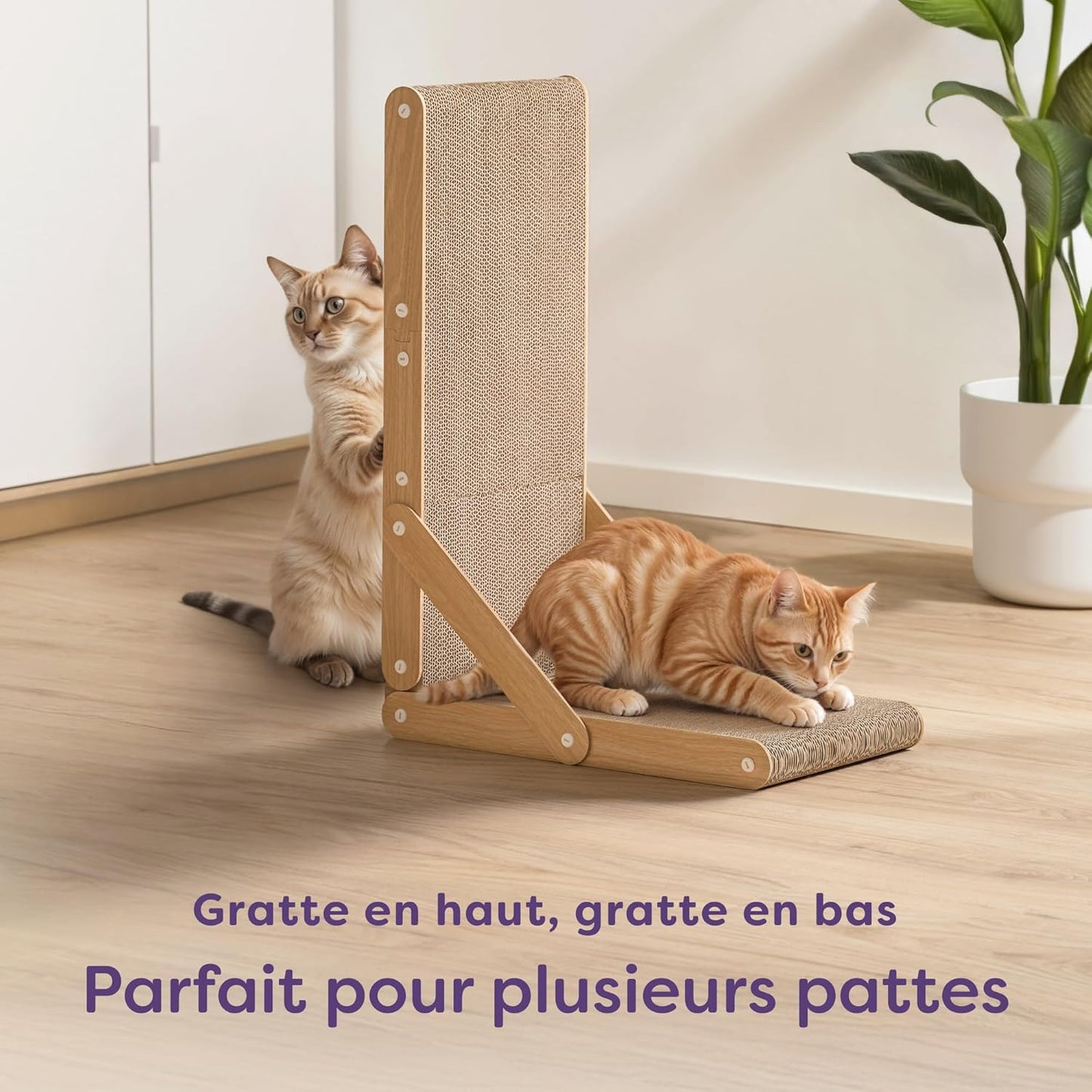 Griffoir Chat 68 cm
