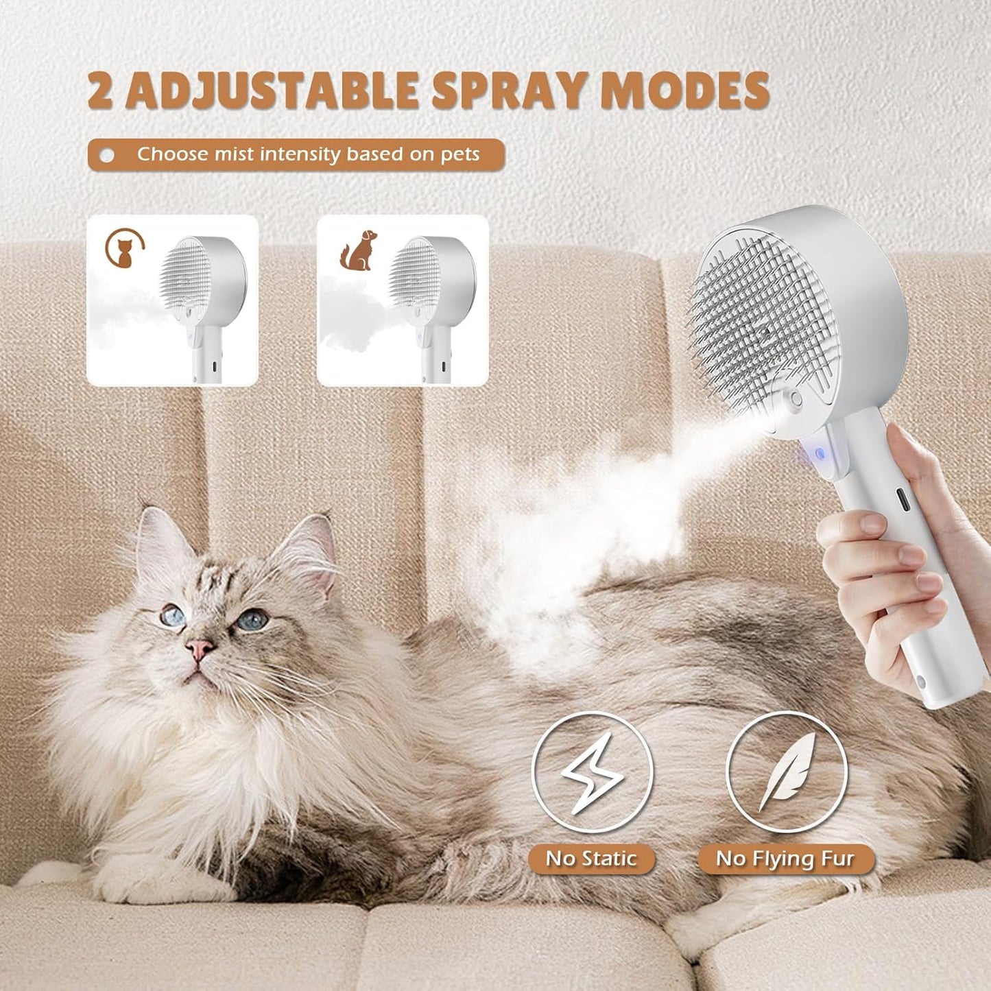 Brosse Chat Vapeur 4 en 1