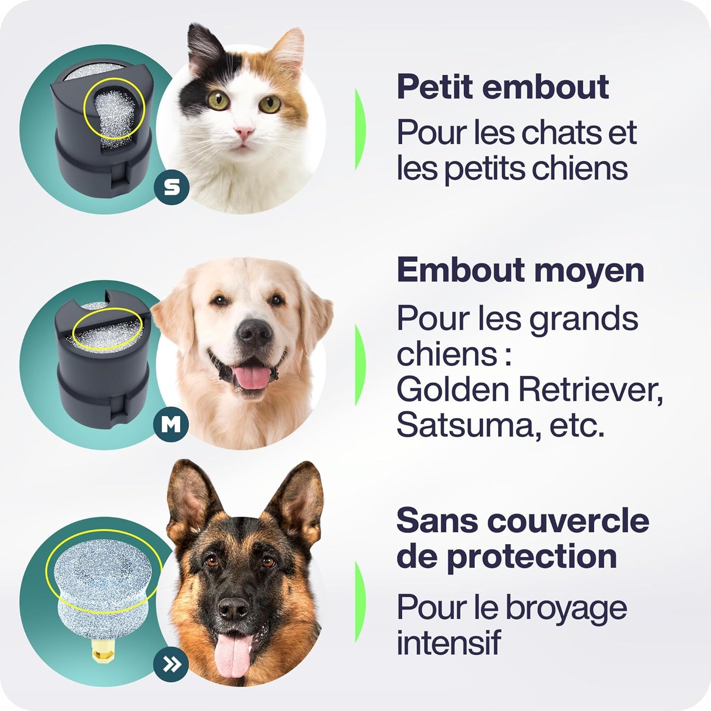 Coupe Griffes Chat électrique