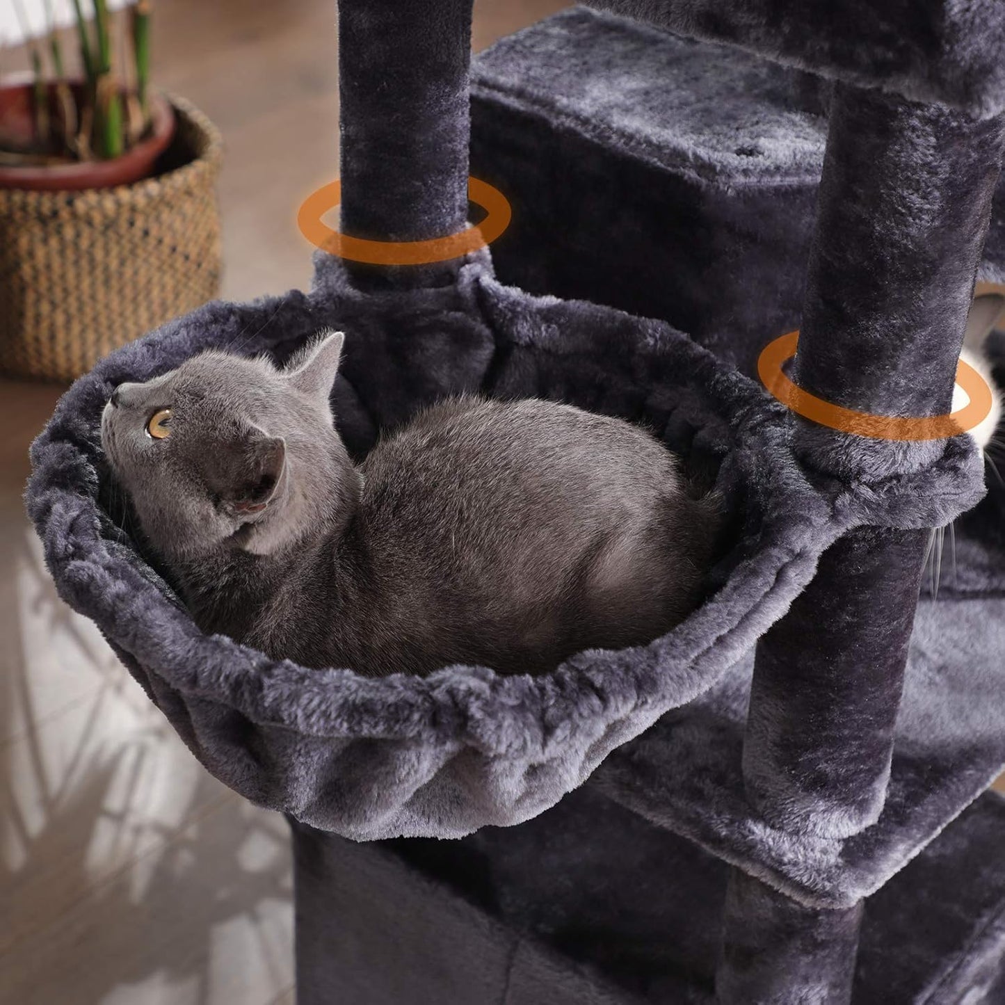 Arbre à Chat XXL 164 cm