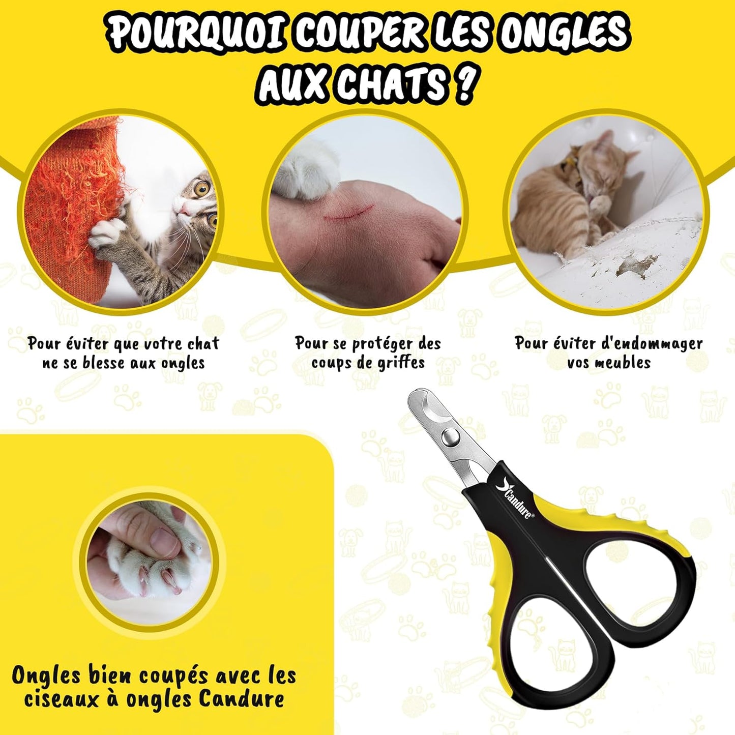 Coupe Griffes Chat