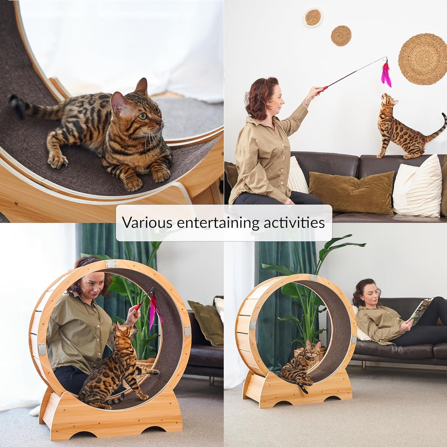 Roue pour Chat, Roue d'exercice