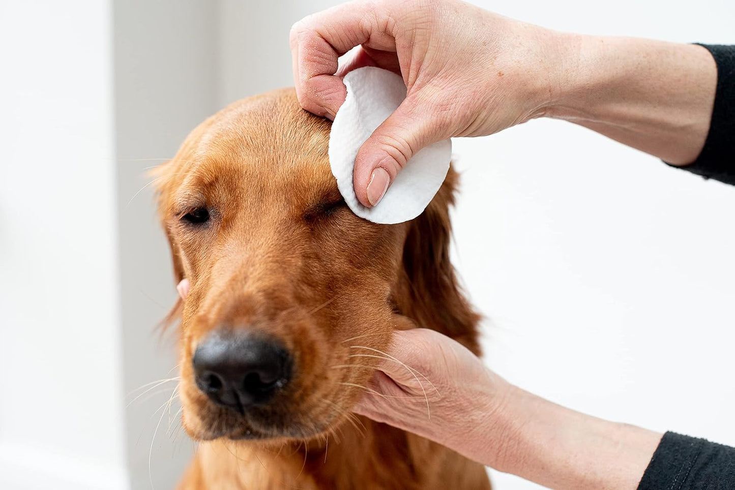 Lingettes pour Chat - Yeux l'aloe Vera