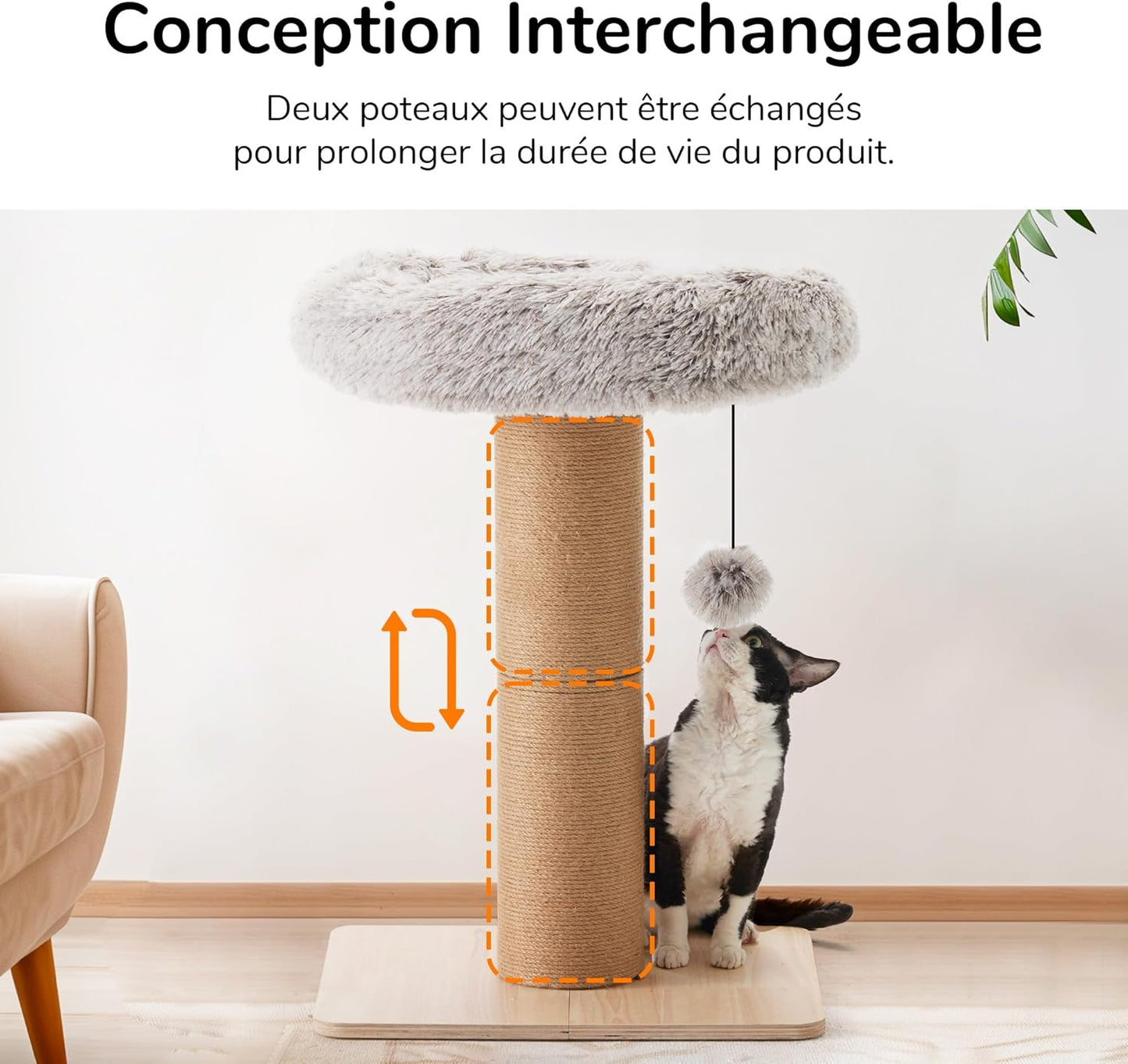 Arbre à chat avec lit