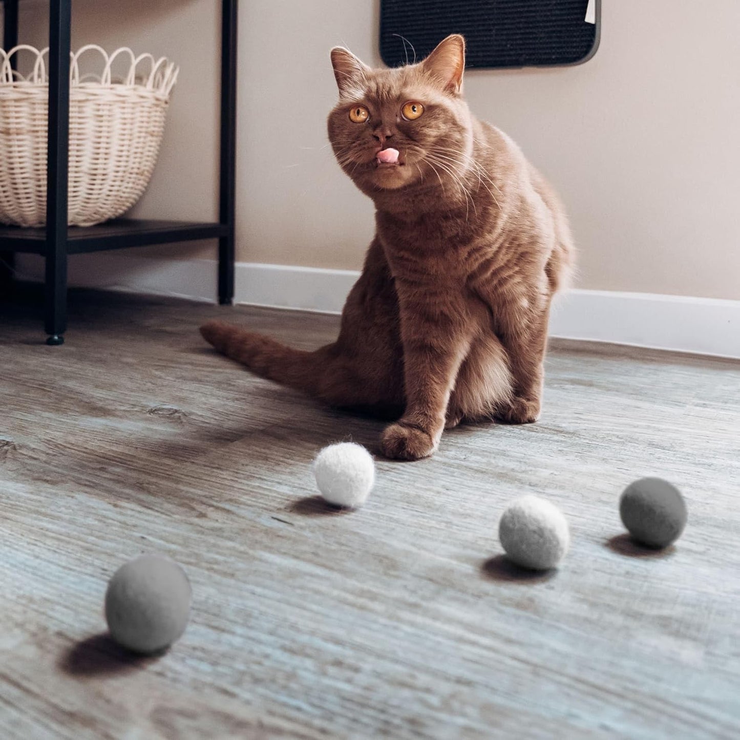 Jouet pour Chat Balles en Feutre | Lot de 6 | 100% Pure Laine