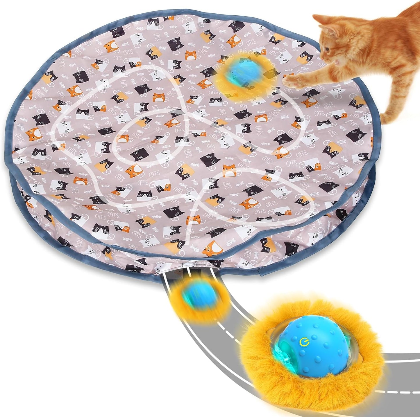 Jouet pour Chat Cache-Cache