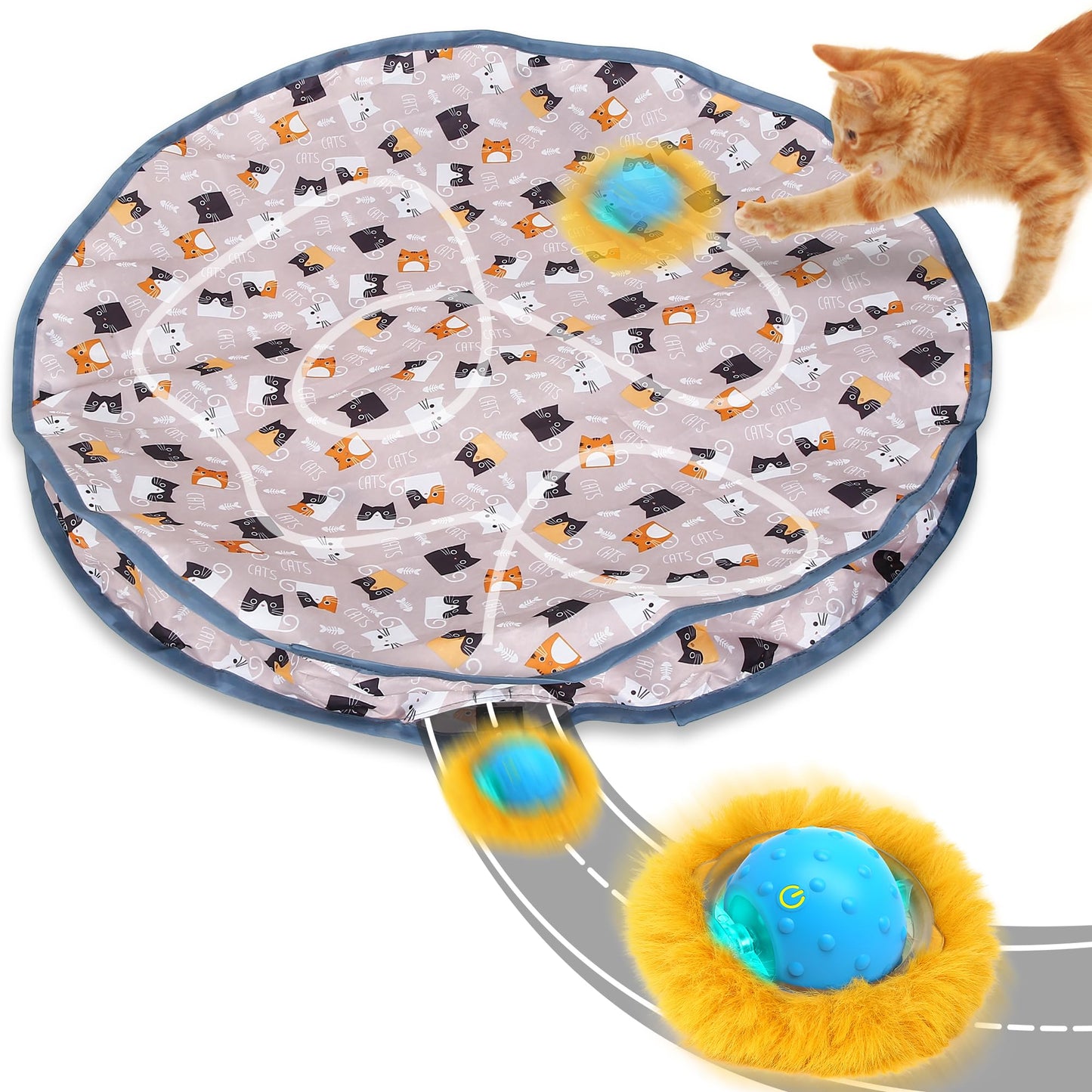 Jouet pour Chat Cache-Cache