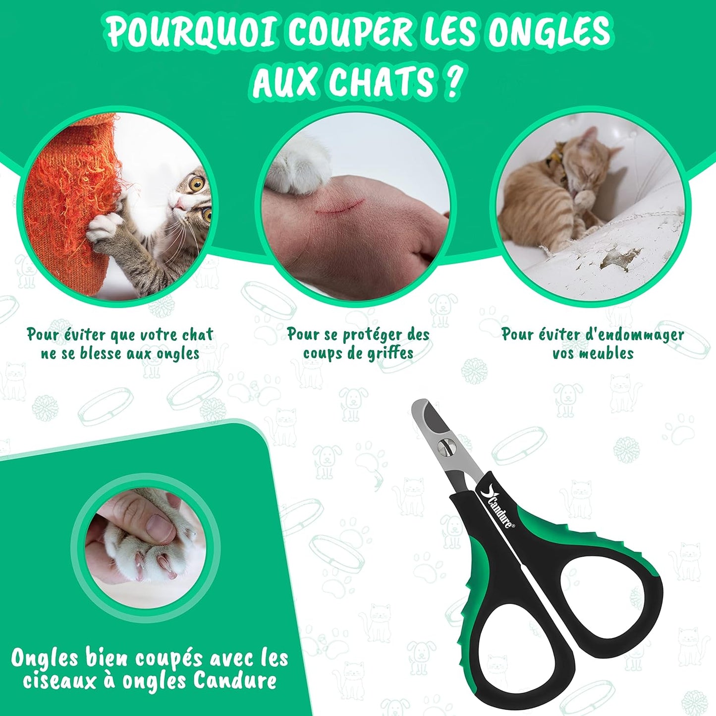 Coupe Griffes Chat